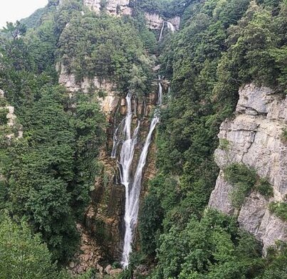 Le Cascate dei fiumi in Abruzzo: Cascate del Verde - Borrello (Ch). Non tutti lo sanno, ma le cascate naturali più alte d’Italia si nascondono tra le meraviglie incontaminate dell’Abruzzo, precisamente a Borrello, piccolo borgo in provincia di Chieti. Le Cascate del Verde si trovano all’interno della Riserva Naturale Regionale Cascate del Rio Verde, un’area protetta che conserva uno degli ecosistemi più preziosi della regione. Incastonate in un canyon roccioso, le cascate si sviluppano con tre spettacolari salti consecutivi, raggiungendo un dislivello complessivo di circa 400 metri e un salto effettivo di oltre 200 metri. Questo straordinario spettacolo naturale è visibile tutto l’anno, con una portata d’acqua che varia in base alle stagioni e alle condizioni climatiche. All’interno della riserva è possibile percorrere due sentieri naturalistici. Il primo è il “Percorso Natura”, ideale per chi vuole immergersi nella bellezza del parco senza affrontare un itinerario impegnativo. Questa passeggiata di circa 20 minuti, adatta a tutte le età, conduce direttamente nel cuore dell’oasi, tra boschi rigogliosi e scorci panoramici. Il secondo sentiero, il “Percorso Cascate del Verde”, regala viste mozzafiato sulla cascata da tre diverse prospettive frontali. Il cammino si snoda all’ombra di aceri, lecci, roverelle e abeti bianchi, offrendo già dopo pochi minuti di marcia una vista sui primi due salti. Per raggiungere il punto panoramico più suggestivo, è necessario affrontare una scalinata di circa 200 gradini, da cui è possibile ammirare l’intero spettacolo del primo e del secondo salto, il più alto e maestoso. Questa meraviglia della natura non è solo uno spettacolo per gli occhi, ma anche un luogo di straordinaria biodiversità. La riserva ospita numerose specie di flora e fauna, tra cui il raro lupo appenninico e la salamandra pezzata, rendendo la visita un’esperienza completa di natura e avventura, immersi in uno degli angoli più autentici e selvaggi d’Abruzzo.