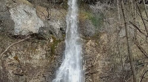 La Cascata di San Giovanni si trova nel cuore della Majella, in provincia di Chieti, un'area che rappresenta una delle zone naturali più affascinanti e selvagge dell'Abruzzo. La cascata prende vita dal fiume che scorre tra le montagne della Majella, creando uno spettacolo naturale che attira escursionisti e amanti della natura. Questo luogo è particolarmente suggestivo, non solo per la sua bellezza paesaggistica, ma anche per il suo legame con la storia religiosa della regione, essendo stata probabilmente un'antica fonte battesimale per i monaci di San Salvatore a Maiella. Il percorso che conduce alla Cascata di San Giovanni parte da Bocca di Valle, una località situata a pochi chilometri da Guardiagrele, un borgo ricco di storia e tradizioni. L'accesso al sentiero che porta alla cascata avviene attraverso una camminata immersa nel verde, che attraversa pinete, faggete e boschi di castagni, offrendo ai visitatori una vista panoramica spettacolare sulla vallata sottostante. Il paesaggio che circonda la cascata è caratterizzato da una vegetazione lussureggiante, che varia dalle pinete alle faggete, ed è popolato da numerose specie di flora e fauna locali. La cascata stessa si presenta con un imponente salto di acqua che scivola lungo le rocce, creando una scena spettacolare che rende questo luogo particolarmente suggestivo. Il rumore delle acque che si infrangono contro le rocce e la frescura dell’aria che si genera dalla caduta dell’acqua contribuiscono a rendere l’ambiente ancora più affascinante. Nelle vicinanze della cascata, si possono trovare anche alcune piante rare, come la Pinguicola di Fiori, una pianta carnivora endemica della Majella, e l’Aquilegia della Maiella, che cresce solo in questo angolo di mondo. Raggiungere la Cascata di San Giovanni è relativamente semplice, grazie alla buona segnaletica e alla possibilità di utilizzare diversi mezzi di trasporto. In auto, è possibile arrivare a Bocca di Valle seguendo la superstrada S.S. 81 da Pescara e Chieti, oppure in treno, con la stazione di Chieti Scalo a 35 km dalla destinazione. Per chi preferisce l’autobus, i collegamenti con i servizi TUA o il trasporto urbano “Napoleone” permettono di arrivare comodamente a Guardiagrele e proseguire fino al punto di partenza del sentiero. Una volta lì, il sentiero ben curato e segnalato guiderà gli escursionisti verso uno dei panorami più belli e incontaminati della Majella.