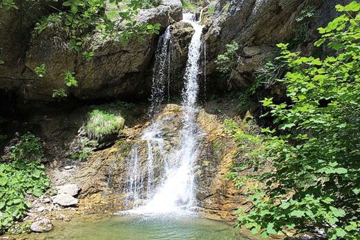 Le Cascate dei fiumi in Abruzzo: Cascata delle Barche - Fara San Martino (Ch). La Cascata delle Barche si trova nel comune di Fara San Martino, nell'area montuosa delle Montagne della Laga, in Abruzzo. Questo angolo selvaggio della regione è caratterizzato da un paesaggio unico, dove l'acqua del fiume scorre tra le rocce argillose e marnose, creando un gioco di salti e ruscellamenti che rendono il luogo straordinario. La cascata nasce dal torrente che scende dal Monte Gorzano, il punto più alto delle montagne, e si tuffa in un salto verticale che raggiunge i 40 metri di altezza, formando una scena mozzafiato che incanta chiunque la visiti. Il percorso che conduce alla Cascata delle Barche è avventuroso, con tratti che richiedono attenzione e impegno, soprattutto nei periodi primaverili, quando il torrente è più impetuoso a causa dello scioglimento delle nevi. Il fragore dell’acqua che si infrange contro le rocce accompagna ogni passo, creando un’atmosfera intensa e coinvolgente. Camminare con i piedi nell’acqua fredda e sentire il respiro della natura intorno è un'esperienza unica che fa entrare il visitatore in simbiosi con l’ambiente circostante. In primavera, la cascata raggiunge il suo massimo splendore, con i tre salti che formano un’imponente sequenza di scrosci d’acqua che si gettano nel vuoto. L’ambiente circostante, ricco di vegetazione, offre una vista incantevole. I prati fioriti e i boschi di faggio sono impreziositi dalla fioritura di piante come pulsatille, anemoni, ranuncoli e genziane, che aggiungono un tocco di colore e vivacità al paesaggio. Questo periodo dell’anno è perfetto per gli escursionisti che desiderano esplorare la zona, poiché l’energia del fiume e la bellezza della natura si uniscono per creare un quadro naturale di rara perfezione. La Cascata delle Barche è facilmente raggiungibile attraverso due escursioni che partono dalla base del Monte Gorzano. Entrambe le escursioni sono relativamente brevi, ma offrono panorami spettacolari delle montagne circostanti. Il contesto selvaggio e incontaminato in cui si inserisce la cascata permette ai visitatori di vivere un'esperienza autentica a contatto con la natura, lontano dalla frenesia della vita quotidiana. La sua bellezza, unita alla sfida di raggiungerla, rende la Cascata delle Barche una delle mete più affascinanti e apprezzate dell’Abruzzo.