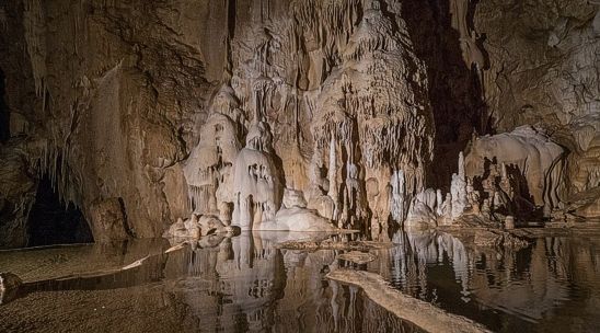 La Riserva Naturale Speciale delle Grotte di Pietrasecca, situata nel comune di Carsoli, in provincia dell'Aquila, è un angolo affascinante dell'Abruzzo che racchiude in sé una grande ricchezza naturale e storica. I circa 110 ettari che compongono la riserva si estendono nella Piana del Cavaliere, un'area carsica di notevole importanza geologica, e ospitano una delle formazioni più suggestive della regione. Creata nel 1992, la riserva ha come principale obiettivo la tutela delle sue caratteristiche uniche, che includono non solo le celebri grotte, ma anche un ecosistema di grande valore biologico, popolato da una fauna cavernicola che affonda le sue radici nella preistoria e continua ad arricchire la biodiversità dell'area. Il paesaggio che circonda le grotte è altrettanto straordinario. Durante la stagione primaverile, la riserva si trasforma in un'esplosione di verde grazie alla presenza di rigogliose faggete che fanno da cornice alle cavità naturali. Tra le specie vegetali che popolano questa zona, si trovano il faggio, il cerro, l'orniello e il carpino nero, mentre la vegetazione floreale è arricchita da fiori rari, come l'anemone dell'Appennino. Un altro elemento che contribuisce a rendere la riserva un luogo di grande suggestione è la presenza di una cascata che, con il suo fragore, aggiunge un tocco di magia all'intero scenario naturale, completando un quadro che appare quasi intatto e incontaminato. Le Grotte di Pietrasecca, tra cui spiccano la Grotta dell’Ovito e la Grotta del Cervo, sono il cuore pulsante della riserva e rappresentano una delle attrazioni principali per speleologi e appassionati di storia naturale. La Grotta dell’Ovito, nota anche come Inghiottitoio di Pietrasecca, si sviluppa per circa 1370 metri, con un dislivello di 41 metri. L’ingresso della grotta è costituito da una lunga galleria che si estende per 270 metri, con un’altezza che varia dai 15 ai 20 metri. All'interno, il percorso si fa più stretto, fino a trasformarsi in un canyon naturale che conduce a una grande sala in cui si trova un lago che aggiunge fascino e mistero all'ambiente sotterraneo. La gestione della riserva è affidata al Comune di Carsoli, che collabora con l'Università degli Studi dell'Aquila e diverse associazioni speleologiche, tra cui la Società Speleologica Italiana, per preservare e valorizzare questo patrimonio naturale. Oltre all'importanza scientifica e ambientale, le grotte e il paesaggio circostante rivestono anche un valore culturale significativo, testimoniando un rapporto profondo e duraturo tra l'uomo e la natura. Le attività di esplorazione e di ricerca sono infatti continuate negli anni, contribuendo a una maggiore conoscenza della zona e rendendo la Riserva Naturale delle Grotte di Pietrasecca un luogo di interesse non solo per il turismo, ma anche per la ricerca scientifica e la protezione dell'ambiente.