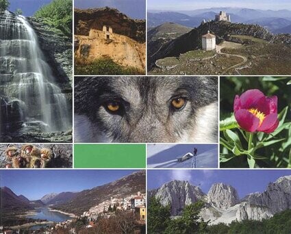 L’Abruzzo è spesso definito la "regione verde d’Europa" per la sua straordinaria ricchezza naturale e paesaggistica. Circa il 30% del suo territorio è protetto da parchi naturali e riserve, che ne fanno una delle regioni più verdi e incontaminate d’Italia. Le montagne dell’Appennino, che attraversano l’intero territorio, ospitano alcuni dei paesaggi più spettacolari del paese, con vette che sfiorano i 2.900 metri, come il Gran Sasso. Le vallate e le riserve naturali, come il Parco Nazionale della Majella e il Parco Nazionale d’Abruzzo, Lazio e Molise, offrono una biodiversità unica, che comprende specie rare di flora e fauna, come l’orso bruno marsicano, il lupo appenninico e l’aquila reale. La regione è caratterizzata anche da un ampio patrimonio ambientale che si estende dalle montagne alle colline, fino alla costa adriatica. Le aree naturali dell’Abruzzo, come le foreste, i boschi e i fiumi, creano un ambiente perfetto per attività all’aperto come il trekking, l’arrampicata, il ciclismo e lo sci. Le spiagge della costa adriatica, dalle sabbie dorate alle scogliere più rocciose, completano il quadro di una regione che offre un connubio perfetto tra mare e montagna. Questo ambiente variegato non solo attira turisti da tutto il mondo, ma è anche una risorsa vitale per le comunità locali, che coltivano e sfruttano la terra con un forte legame alla tradizione agricola e alla sostenibilità. L’Abruzzo è anche un punto di riferimento per le politiche ecologiche e di conservazione, impegnato nella tutela e nella valorizzazione del suo patrimonio naturale. La creazione di parchi, riserve e aree protette ha permesso di salvaguardare habitat unici e di promuovere un turismo sostenibile, che rispetta l’ambiente e le tradizioni locali. La regione si distingue per il suo impegno nella protezione della biodiversità e nella promozione di un modello di sviluppo che coniuga crescita economica e rispetto per la natura, confermando la sua vocazione di "polmone verde" d'Europa.