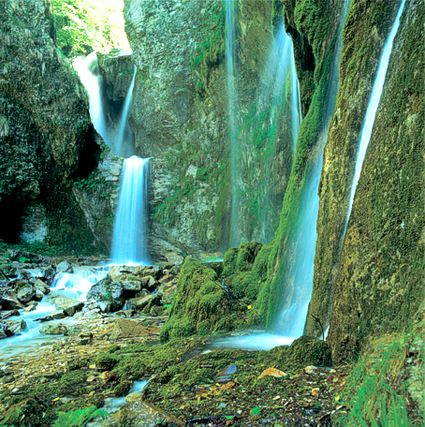 Le Cascate dei fiumi in Abruzzo: Cascata della Costa dei Baroni – Fraz. Pagliara di Castellafiume (Aq). La Cascata della Costa dei Baroni si trova nella suggestiva Valle del Ruzzo, un angolo incantevole ai piedi del maestoso monte Prena, nell'Abruzzo centrale. Questo territorio è ricco di storia e di bellezze naturali, con antiche fortificazioni, boschi, torrenti e una varietà di cascate che arricchiscono il paesaggio. Sebbene la cascata non abbia un salto particolarmente alto, la sua posizione e il contesto che la circonda le conferiscono una bellezza unica e suggestiva, rendendola un luogo ideale per chi ama immergersi nella natura. Il torrente Ruzzo, che attraversa la valle, è il principale corso d'acqua della zona e dà vita a diverse cascate, tra cui la Costa dei Baroni. Questa cascata, che si trova a circa 800 metri di altitudine, è facilmente accessibile rispetto ad altre cascate della regione, come quelle di Vena Roscia e del Mescatore, che richiedono percorsi più impegnativi. La sua vicinanza al ponte della rotabile che collega Pretara al Piano del Fiume la rende una meta perfetta per una visita immersiva nella natura senza dover affrontare lunghe escursioni. La zona circostante è famosa anche per altre cascate spettacolari, come la Cascata del Mescatore, che con il suo salto di circa 23 metri arricchisce ulteriormente il paesaggio. Percorrendo i sentieri che conducono alla Cascata della Costa dei Baroni, i visitatori sono circondati da acque cristalline, panorami incredibili e una vegetazione rigogliosa. Il cammino offre viste mozzafiato sul massiccio del Gran Sasso, in particolare sul colle Petrino, da dove è possibile ammirare un panorama che spazia fino ai Monti Sibillini e ai Monti Gemelli. L'area in cui si trova la cascata è anche nota per la sua importanza storica e faunistica. Il colle Petrino, con la sua antica fortificazione, fu un importante possedimento dei nobili Conti di Pagliara, e oggi i suoi ruderi raccontano storie di un passato ricco di leggende. La zona, poco frequentata, ospita una fauna selvatica variegata, tra cui cervi, caprioli, lupi e aquile reali. Il fascino della cascata e dell'intero territorio è amplificato da un alone di mistero che avvolge il luogo, rendendo la visita un'esperienza affascinante e suggestiva per gli amanti della natura e della storia.