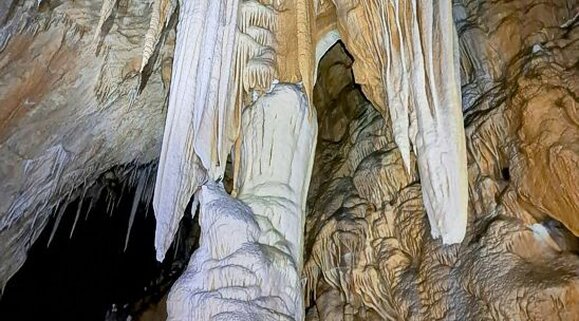 La Grotta del Cervo, situata all'interno della Riserva Naturale Speciale delle Grotte di Pietrasecca nel comune di Carsoli, è una delle cavità più affascinanti e imponenti d'Abruzzo. A un'altitudine di 862 metri, questa grotta si estende per oltre 2000 metri, rendendola una delle più grandi della regione. Scoperta nel marzo del 1984 da un gruppo di speleologi del GS CAI Roma, la grotta è anche conosciuta come "Ovito dei Quattordici", in riferimento ai quattordici esploratori che vi accedettero per primi. Sin dal principio, la grotta ha rivelato il suo grande valore, sia per la bellezza dei suoi ambienti sia per i reperti storici e paleontologici trovati al suo interno. La cavità si sviluppa in ampie sale caratterizzate da una straordinaria varietà di concrezioni, tra cui stalattiti, stalagmiti, pelli di leopardo e altre forme che arricchiscono l'atmosfera magica di ogni angolo. I visitatori sono affascinati dal candore di queste formazioni, che creano un paesaggio surreale e incantevole. A circa cento metri dall'ingresso si trova il Salone degli Antenati, un ampio ambiente dove sono stati rinvenuti importanti reperti ossei e numismatici. I reperti paleontologici, risalenti al Pleistocene superiore, testimoniano la presenza di animali come orsi, linci, leoni delle caverne e cervi. Le monete, rinvenute in epoche differenti, vanno dal IV-V secolo d.C. fino a una del XV secolo proveniente dalla Zecca di Chieti. Un altro luogo di grande interesse è la Sala delle Vaschette, un ambiente incantevole caratterizzato da piccole vasche rocciose colme di acqua, che riflettono la luce creando spettacolari giochi di riflessi. Le formazioni di calcite che adornano queste vasche aggiungono un tocco di magia al paesaggio sotterraneo. Superato questo spazio, il percorso si fa più impegnativo con la Strettoia, un passaggio stretto che introduce alla parte più tecnica della grotta, accessibile solo con attrezzature speleologiche. In queste zone si trovano diramazioni suggestive, come il Ramo delle Meraviglie e il Ramo della Medusa, che continuano ad affascinare gli esploratori con le loro concrezioni uniche e straordinarie. La Grotta del Cervo si conclude con un lago-sifone che segna la fine del suo sviluppo verticale, che arriva a una profondità di -113 metri. Questa cavità non solo è un luogo di grande bellezza naturale, ma è anche un'importante testimonianza geologica e storica, che continua a suscitare l'interesse di speleologi, studiosi e appassionati di natura. Con la sua vasta estensione e la varietà di ambienti, la Grotta del Cervo rappresenta uno dei luoghi più spettacolari e misteriosi della regione, in cui il tempo e la natura si intrecciano in un affascinante racconto sotterraneo.