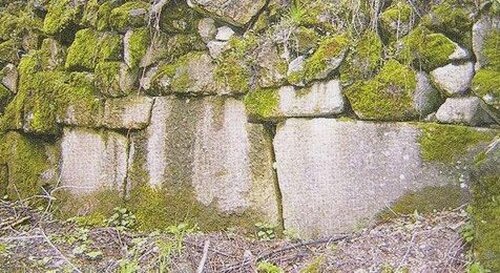 Siti Archeologici in Abruzzo: Sulle tracce dei Sanniti tra Alfedena e Barrea. Ai piedi dei massicci della Meta e del Monte Greco, Alfedena e Barrea sorgono su siti che furono centrali nell'insediamento dei Sanniti. Queste località, oggi apprezzate come basi per le escursioni nel Parco Nazionale d'Abruzzo, Lazio e Molise, sono anche ricche di testimonianze archeologiche che raccontano la storia di un passato lontano. Le necropoli, le fortificazioni, i templi e i resti di edifici civili rendono questa zona un importante scrigno di cultura, che conserva tracce tangibili di un'epoca fondamentale per la storia di questa parte dell'Abruzzo. Le montagne che circondano Alfedena e Barrea sono il teatro di numerosi ritrovamenti archeologici, e tra questi spicca l’itinerario che conduce al Monte Curino. Qui, si possono visitare i resti di un antico santuario e un tratto di mura megalitiche che difendevano un insediamento sannita. Il percorso, che offre anche una vista spettacolare sul paesaggio circostante, permette di immergersi completamente nel cuore della storia antica della regione. Salendo, si raggiunge un pianoro erboso a circa 1020 metri di altitudine, dove il paesaggio rivela chiaramente le tracce di antiche strutture religiose. Ad Alfedena, il castello medievale e la chiesa dei Santi Pietro e Paolo, che risalgono al XIII secolo, sono punti di interesse che merita di essere visitati. Nonostante la loro datazione più recente, questi edifici si inseriscono perfettamente nel contesto storico della zona. Il Museo Civico di Alfedena ospita una piccola parte dei reperti sannitici ritrovati nelle vicinanze, ma la maggior parte di questi oggetti, tra cui corredi funebri e altre testimonianze, sono oggi conservati presso il Museo Archeologico Nazionale di Chieti, che ne custodisce la memoria storica per le future generazioni. Il paesaggio e la storia di Alfedena e Barrea, legati indissolubilmente alla civiltà sannita, offrono ai visitatori non solo una panoramica naturalistica mozzafiato, ma anche un viaggio nel tempo che permette di riscoprire la ricchezza culturale e storica di questa parte dell'Abruzzo. Passeggiare lungo questi sentieri, tra resti archeologici e antiche rovine, significa percorrere le stesse strade che un tempo attraversavano gli abitanti di questa terra, oggi immersi in un'atmosfera che mescola passato e presente in modo unico e affascinante.