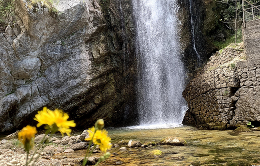 La Cascata del Vitello d’Oro si trova nel cuore della Valle d’Agri, un angolo incontaminato della regione Abruzzo, precisamente nel comune di Farindola, ai piedi del Gran Sasso. La cascata prende il nome da una leggenda locale che racconta di una vitella dal manto dorato che apparve nel giorno di San Giovanni a delle donne che attingevano acqua dal fiume, dando così il nome a questo spettacolare salto d’acqua. La cascata è alta circa 28 metri e si trova in una zona selvaggia e suggestiva, circondata da una vegetazione lussureggiante che contrastata dalla roccia nuda, crea un paesaggio straordinario. Il percorso per raggiungere la Cascata del Vitello d’Oro è affascinante e adatto a chi cerca un’esperienza immersa nella natura. Si parte dal centro abitato di Farindola e si segue un sentiero che sale in modo graduale, percorrendo scalinate di pietra ben mantenute. Durante il tragitto, che si sviluppa tra i faggi e le zone rocciose, è possibile ammirare il panorama mozzafiato della vallata sottostante e avvistare alcuni camosci, che rendono il cammino ancora più speciale. Il sentiero è di media difficoltà e adatto a chi ha un po’ di esperienza nella camminata, ma la bellezza del paesaggio compensa ampiamente lo sforzo. Una volta giunti alla base della cascata, il rumore dell’acqua che scende con forza dalle rocce è avvolgente, mentre il paesaggio che la circonda è di rara bellezza. La zona, purtroppo poco conosciuta, offre una vista impareggiabile sul Gran Sasso e sull’ambiente circostante, che appare intatto e selvaggio. Il contrasto tra la durezza delle pareti rocciose e la morbidezza della vegetazione che cresce intorno alla cascata rende il luogo unico. La presenza di un’acqua limpida e cristallina che scorre in continuazione conferisce un senso di pace e serenità a chi ha la fortuna di giungere fin qui. Nei dintorni della cascata, l’ambiente naturale è perfetto per godere di un po’ di tranquillità, lontani dal caos della vita quotidiana. Le montagne che circondano la valle sono imponenti, ma la bellezza della natura incontaminata riesce a rendere questo angolo di Abruzzo un vero rifugio. A poca distanza, l'Area Faunistica del Camoscio e il borgo di Farindola rappresentano altri luoghi d’interesse dove si può approfondire la conoscenza della fauna locale e delle tradizioni abruzzesi. La Cascata del Vitello d’Oro è dunque una meta ideale per chi cerca un'esperienza unica e rigenerante nella natura selvaggia del Gran Sasso.