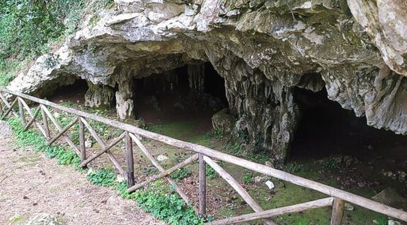La Grotta dei Pulcini, situata nel comune di Guardiagrele, è una piccola cavità di forma irregolare che si distingue per la sua bellezza naturale e la presenza di spettacolari concrezioni calcaree. All’interno della grotta si trovano numerose stalattiti e stalagmiti, di varie dimensioni e forme, che hanno dato vita a colonne imponenti. Nonostante il fenomeno dello stillicidio continui a essere visibile, i processi carsici che hanno plasmato la grotta si sono ormai arrestati. L’ingresso, rivolto a nord, introduce i visitatori in un ambiente che presenta un pavimento inizialmente di terra rossiccia, che poi si trasforma in roccioso e concrezionato nella zona finale. Negli anni '60, la grotta fu parzialmente ripulita e svuotata con l’intento di trasformarla in una meta turistica, ma il progetto non ebbe seguito. Tuttavia, la Grotta dei Pulcini è oggi fruibile grazie a un intervento di recupero e valorizzazione attuato dal Comune di Guardiagrele. Questo progetto ha reso la grotta accessibile al pubblico, garantendo al contempo la sua conservazione e la sicurezza per chi desidera esplorarla. L’iniziativa ha permesso alla cavità di tornare ad essere un punto di riferimento per chi apprezza la bellezza naturale e il patrimonio speleologico della regione. Guardiagrele, che ospita la Grotta dei Pulcini, è una cittadina che si trova ai piedi del massiccio della Majella, nella provincia di Chieti. Il suo centro storico, di origine longobarda, è ricco di edifici storici, chiese e palazzi signorili che ne testimoniano la lunga storia. La cittadina è famosa anche per l’uso della pietra della Majella, che caratterizza l’architettura locale, e per la tradizione artigianale, in particolare nella lavorazione del ferro battuto, del rame e dei metalli nobili. Gabriele D’Annunzio, che ha scritto molto su questa zona, definì Guardiagrele “terrazza d’Abruzzo” per la splendida vista che offre sulle colline circostanti. Non lontano dalla cittadina, la Grotta dei Pulcini si trova a un’altitudine di quasi 1000 metri, immersa in un paesaggio naturale che riflette la tradizione carsica della Majella. Questo sito offre ai visitatori l’opportunità di immergersi in un ambiente naturale unico, dove la geologia e la storia si intrecciano. La grotta, pur nella sua dimensione contenuta, rappresenta un esempio straordinario di come la natura e la storia umana possano coesistere in perfetta armonia.