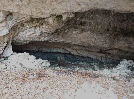 La Grotta dell'Eremita si trova sul versante nord-est del vallone di Angri, a un’altitudine di circa 1217 metri, nel comune di Pretoro, in provincia di Chieti. La sua storia esplorativa inizia nel 1927 con i primi studi condotti dai soci del CAI di Teramo. Tuttavia, è solo nel 1968 che un gruppo di appassionati speleologi riesce a ritrovarla, grazie alle indicazioni di una signora anziana di Farindola. La donna, da giovane, aveva scoperto la grotta mentre cercava una capretta smarrita; l'animale si era rifugiato in questa cavità, attratto dalla presenza di acqua che sgorgava dal copioso stillicidio e da una probabile sorgente. In quel periodo, la grotta era conosciuta per le sue spettacolari concrezioni, tra cui le formazioni che ricordavano "mortai" e "candelabri". Durante i primi anni dopo la riscoperta, la grotta ha subito danni a causa di attività di predazione delle concrezioni. Negli anni '70, per proteggere l'area, furono installati una rete e una porta all'ingresso, ma queste misure di protezione non sono più operative. Oggi l'accesso alla grotta è più semplice, grazie a un sentiero che permette di raggiungere l'ingresso senza la necessità di arrampicate difficili. La grotta prende il nome da una leggenda che racconta di un eremita che vi avrebbe vissuto, anche se non ci sono prove storiche che confermino la sua permanenza. Un'altra leggenda locale narra che, quando l'eremita lasciò la grotta, lanciò il suo bastone verso i Merletti di Villa Celiera, e nel punto in cui il bastone toccò terra, nacque un giglio che continua a fiorire ogni anno nello stesso posto. L’ingresso della grotta è ampio e offre una vista su un primo ambiente che presenta concrezioni ormai scurite e ricoperte da muschi e licheni, a causa dell’esposizione agli agenti atmosferici e al sole. Proseguendo oltre, il secondo ambiente della grotta si distingue per le concrezioni candide e arrotondate. Stalattiti di forme diverse, alcune delle quali hanno fori centrali, pendono dal soffitto, mentre in alcune stalagmiti si formano piccole coppe d’acqua cristallina, che si riempiono soprattutto durante il periodo di scioglimento delle nevi. Alcune di queste coppe contengono pisoliti, piccole sfere di calcite che, per la loro bellezza, sono conosciute anche come perle di grotta. La grotta ospita anche una fauna interessante. Durante l’inverno, infatti, è frequentata da piccoli gruppi di pipistrelli che vi si rifugiano per il letargo. In primavera e estate, invece, anfibi e rettili cercano riparo dal caldo all’interno della grotta. Inoltre, la grotta è popolata da diverse specie di insetti tipici degli ambienti sotterranei, come la Dolichodopa Geniculata. La grotta è adatta a piccoli gruppi e famiglie, anche se l’ultimo tratto del sentiero che conduce all’ingresso è piuttosto impegnativo, con alcuni passaggi che richiedono arrampicate. Per proteggere le delicate concrezioni all'interno, è obbligatorio indossare guanti durante la visita, evitando così di compromettere la crescita di queste formazioni. La grotta può essere visitata principalmente nei mesi estivi, quando le condizioni meteorologiche sono favorevoli, mentre rimane isolata durante l'inverno e nei periodi di maltempo.