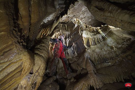 La Grotta della Lupa si trova all’interno della miniera di Santo Spirito, in località Ripa Rossa, vicino all’Eremo Celestiniano nel comune di Roccamorice. Questo affascinante ambiente sotterraneo è di difficile accesso e si sviluppa su un dislivello di circa 230 metri. La cavità è caratterizzata da un ampio salone centrale dal quale si dirama una rete di gallerie che superano i 20 metri di altezza. Al suo interno, sono visibili spettacolari formazioni di stalattiti, colonne e vele, oltre a piccoli laghetti naturali che ospitano brillanti cristalli, visibili attraverso l’acqua che scorre in alcune zone della grotta. La scoperta della Grotta della Lupa risale al 2015, quando il Gruppo di Ricerca di Archeologia Industriale della Majella, durante l’esplorazione di un ramo della miniera di Santo Spirito, si imbatté nella cavità. Questo ritrovamento ha dato il via alle prime esplorazioni sistematiche, condotte anche con tecniche moderne come il laser 3D. Le esplorazioni hanno portato alla luce resti paleontologici di grande valore, che sono stati oggetto di numerosi studi scientifici, offrendo nuovi spunti per comprendere meglio l’evoluzione della fauna preistorica della zona. Tra i reperti rinvenuti, spiccano numerosi resti ossei di animali come l'orso bruno, il lupo, il cervo e la capra. Questi resti hanno permesso agli studiosi di ricostruire gli ecosistemi del passato e di approfondire la conoscenza delle specie che abitavano la Maiella in tempi remoti. La presenza di tali fossili conferisce alla Grotta della Lupa un grande valore scientifico, facendo di essa una risorsa fondamentale per le ricerche paleontologiche sulla fauna preistorica. Nel 2016, il Comune di Roccamorice ha intrapreso un progetto per la valorizzazione della Grotta della Lupa, creando un laboratorio permanente di ricerca. Grazie a questo progetto, è stato possibile sviluppare sistemi di fruizione virtuale che permettono al pubblico di esplorare la grotta senza compromettere l’integrità dell’ambiente. La valorizzazione della grotta ha come obiettivo quello di tutelarla, garantendo al contempo l’accesso alla comunità scientifica e ai visitatori interessati a scoprire questo straordinario luogo, ricco di storia e di bellezze naturali.