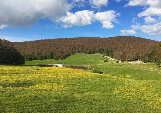 Trekking negli Altopiani e Pianori in Abruzzo: Fare trekking nell’Altopiano del Voltigno. L'Altopiano del Voltigno, situato nel cuore del Parco Nazionale del Gran Sasso e Monti della Laga, offre un paesaggio di straordinaria bellezza e tranquillità. A un'altitudine di circa 1400 metri, si trova sul versante orientale della catena appenninica, facilmente raggiungibile dal comune di Villa Celiera e da Carpineto della Nora. Questo altopiano di origine carsica è un luogo perfetto per chi ama la natura incontaminata e desidera immergersi in un ambiente che conserva intatte le caratteristiche del paesaggio montano. Qui, oltre alla bellezza del territorio, è possibile visitare luoghi di interesse storico, come l'antica abbazia cistercense di San Bartolomeo, che aggiunge un fascino particolare alla zona. L'Altopiano del Voltigno rappresenta così un'area di rara bellezza, che unisce natura e cultura in un contesto unico. Il paesaggio dell'altopiano è caratterizzato da ampi prati verdi, circondati da estese faggete che sembrano provenire direttamente dalle foreste primordiali. La presenza di alberi vetusti, spesso caduti al suolo, conferisce a questo luogo una sensazione di intimità e di pace, come se il tempo si fosse fermato. Tra i numerosi inghiottitoi e doline che punteggiano l'altopiano, spiccano anche alcuni laghi, come il Lago Sfondo, il più grande di tutta la zona, che offre uno spettacolo visivo straordinario. La tranquillità e la bellezza del paesaggio rendono questo luogo ideale per gli amanti della natura, che possono godere di passeggiate a piedi, escursioni in bicicletta o a cavallo. Ogni stagione regala panorami unici e affascinanti, dai fiori colorati che in primavera ricoprono l'altopiano, come la genziana e l'orchidea, al candido manto di neve che in inverno trasforma il paesaggio in un regno per gli amanti dello sci di fondo. La varietà della flora e della fauna rende il Voltigno un luogo perfetto per gli escursionisti, che potranno attraversarlo percorrendo sentieri e tratturi che si snodano tra i boschi e le valli circostanti. Inoltre, il Vallone d'Angora, con il suo profondo canyon che scende da Campo Imperatore verso Farindola, offre un panorama mozzafiato. In inverno, l'altopiano si trasforma in una destinazione ideale per gli appassionati di sport sulla neve. Con diversi chilometri di percorsi battuti regolarmente con battipista, l'Altopiano del Voltigno diventa un paradiso per lo sci di fondo e l'escursionismo invernale. I sentieri sono tracciati per soddisfare le esigenze degli sportivi, che possono scegliere tra la tecnica classica e quella di pattinaggio, in un paesaggio che in inverno assume una bellezza ancora più magica, con la neve che ricopre le vette e i boschi circostanti. Il Voltigno è quindi un luogo che, in ogni stagione, sa come sorprendere e incantare chiunque desideri scoprire il suo fascino. La sua biodiversità, la bellezza dei suoi paesaggi e la tranquillità che regna in questo angolo dell'Appennino fanno di quest'altopiano una meta ideale per gli amanti della natura e per chi cerca un'esperienza autentica di trekking.