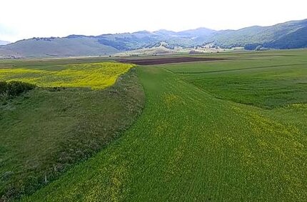 Altopiano delle Cinquemiglia in Abruzzo L'Altopiano delle Cinquemiglia è un suggestivo altopiano dell'Abruzzo, situato a circa 1.200 metri di altitudine tra i comuni di Roccaraso, Rivisondoli e Pescocostanzo. Questa vasta area pianeggiante si estende per circa 7 chilometri di lunghezza e 2 chilometri di larghezza, incastonata tra le imponenti montagne dell'Appennino centrale. Caratterizzato da paesaggi incantevoli e da una natura incontaminata, l'altopiano è una destinazione ideale per escursionisti, appassionati di natura e amanti della storia. La zona è nota per i suoi contrasti stagionali: in estate, i prati si tingono di verde e accolgono animali al pascolo, mentre in inverno, l'intero altopiano è spesso ricoperto da una coltre di neve che crea panorami fiabeschi. Grazie alla sua altitudine, l'area è famosa anche per essere tra le più fredde d'Abruzzo, tanto da essere ricordata storicamente come un passaggio impervio per i viandanti e le greggi durante i mesi invernali. Dal punto di vista naturalistico, l'Altopiano delle Cinquemiglia offre una ricca biodiversità. È un luogo ideale per passeggiate e trekking, con sentieri che attraversano dolci pendii e regalano viste spettacolari sulle catene montuose circostanti, tra cui il Gran Sasso e la Maiella. In primavera e in estate, l'area si popola di una colorata varietà di fiori selvatici, mentre i cieli sono spesso attraversati da rapaci, come falchi e aquile. La visita all'altopiano può essere arricchita dalla scoperta dei vicini borghi medievali, come Rivisondoli, Roccaraso e Pescocostanzo, noti per il loro fascino storico, le tradizioni artigianali e la gastronomia tipica. L'Altopiano delle Cinquemiglia non è solo un luogo di straordinaria bellezza naturale, ma anche un simbolo dell'Abruzzo autentico, dove cultura, storia e natura si intrecciano in un’armonia perfetta.