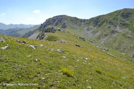 Trekking negli Altopiani e Pianori in Abruzzo: Fare trekking nell’Altopiano delle Gravare. L'Altopiano delle Gravare, situato tra Lazio e Abruzzo, offre un'esperienza di trekking unica grazie alla sua dorsale che si estende dal valico di Forca d'Acero fino al Passaggio dell'Orso. Quest'area protetta è caratterizzata da vette che sfiorano i 2.000 metri e offre panorami spettacolari sulle catene montuose della Camosciara, della Meta e sulla conca della Val Comino. Il paesaggio varia dalle morene glaciali ai balzi rocciosi, alternandosi a fianchi boscosi e ampie distese verdi che creano scenari mozzafiato. La presenza del Camoscio appenninico e del gracchio corallino arricchisce ulteriormente il valore naturale di questo territorio, che rimane uno dei più incontaminati e suggestivi della zona. L'altopiano è l'ideale per chi cerca una fuga dal turismo di massa, immersi in un ambiente selvaggio e silenzioso che cambia con il passare delle stagioni. L'esperienza di trekking è impreziosita da paesaggi di praterie d'alta quota, foreste di faggio e ruscelli, tutti elementi che offrono una costante varietà di scenari durante l'escursione. La zona è inoltre permeata di storia, essendo stata teatro di vicende di briganti e pellegrini che attraversavano questi monti secoli fa, lasciando dietro di sé racconti e leggende che arricchiscono ulteriormente il fascino del cammino. Ogni passo in questo altopiano è come un viaggio nel tempo, un ritorno alla natura primordiale e alla storia rurale che ha segnato il territorio. Con la protezione del Parco Nazionale d'Abruzzo Lazio e Molise, l'Altopiano delle Gravare offre oggi un rifugio sicuro per flora e fauna, rendendo ogni trekking non solo un'attività fisica, ma anche un'esperienza di connessione profonda con la natura e la storia di queste terre.