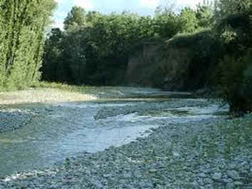 Il Bosco di Don Venanzio, situato nel comune di Pollutri, rappresenta un habitat di grande importanza per la fauna abruzzese, grazie alla sua vegetazione rigogliosa e alla sua posizione vicino al fiume Sinello. La sua ricca biodiversità è dovuta alla varietà di ecosistemi che lo compongono, che spaziano dalle zone più umide lungo il corso del fiume a quelle più asciutte e rocciose che lo circondano. Questo contrasto di ambienti offre rifugio e nutrimento a numerose specie di mammiferi, uccelli e insetti, rendendo il bosco un luogo ideale per molte forme di vita selvatiche. Tra i mammiferi che abitano il Bosco di Don Venanzio, è possibile trovare specie tipiche degli ambienti forestali umidi, come il capriolo, il cinghiale e la volpe. Questi animali si muovono tra gli alberi secolari e il sottobosco ricco di piante erbacee, dove trovano cibo e riparo. La fitta vegetazione e la presenza di corsi d’acqua favoriscono anche la presenza di roditori e altri piccoli mammiferi, che costituiscono una risorsa fondamentale per i predatori più grandi, creando un equilibrio naturale all’interno dell’ecosistema. In particolare, il Bosco di Don Venanzio è anche un importante rifugio per molte specie di uccelli, sia stanziali che migratori. La presenza di alberi maturi con cavità naturali e di piante che producono frutti e semi offre numerosi siti di nidificazione e nutrimento. Tra gli uccelli più rappresentativi del bosco ci sono il picchio rosso maggiore, il picchio muratore e il merlo. Le cavità nei tronchi degli alberi e la folta vegetazione sono ideali per questi volatili, che trovano rifugio e cibo in abbondanza. Oltre ai mammiferi e agli uccelli, il Bosco di Don Venanzio ospita una grande varietà di insetti, che giocano un ruolo cruciale nel mantenimento dell'equilibrio ecologico. Tra questi, sono particolarmente importanti gli impollinatori, come le api e le farfalle, che grazie alla fioritura di numerose piante erbacee e arbustive, contribuiscono alla riproduzione di molte specie vegetali. Altri insetti, come coleotteri e lepidotteri, si nutrono del legno in decomposizione, svolgendo un ruolo fondamentale nel ciclo della materia organica del bosco. La conservazione del Bosco di Don Venanzio, con la sua fauna variegata e ben adattata all'ambiente umido, è essenziale per preservare questo ecosistema unico in Abruzzo. La riserva è un luogo dove la natura può prosperare lontano dalle pressioni antropiche, offrendo uno spazio sicuro per molte specie di fauna selvatica. Inoltre, la sua protezione contribuisce anche alla salvaguardia della fauna di altre aree circostanti, che si avvantaggiano della presenza di un ambiente naturale in grado di sostenere una ricca diversità biologica.