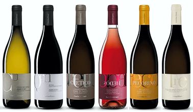 La provincia di Teramo si distingue nel panorama enologico abruzzese per l’ampia varietà di vini prodotti, espressione di un territorio complesso e straordinariamente vocato alla viticoltura. Le diverse altitudini, l’influenza del mare Adriatico e la vicinanza del massiccio del Gran Sasso creano condizioni climatiche e pedologiche differenti che permettono la coltivazione di uve con caratteristiche uniche. Da questo mosaico territoriale nascono vini dai profili molto diversi, capaci di spaziare da quelli più strutturati e intensi a quelli freschi, aromatici e di grande bevibilità. La varietà non è solo il risultato dei vitigni coltivati, ma anche delle interpretazioni dei produttori, che uniscono tradizione e innovazione per valorizzare al meglio ogni parcella di terreno. I vini teramani raccontano così un territorio dinamico, ricco di sfumature e identità, dove ogni calice riflette la biodiversità, la cultura agricola e la passione enologica che rendono questa provincia una delle aree più interessanti dell’Abruzzo dal punto di vista vitivinicolo.