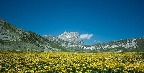 Parchi Naturali, boschi e Trekking: Campo Imperatore, il “Piccolo Tibet”. Campo Imperatore, il “Piccolo Tibet”. Campo Imperatore è un luogo che incanta per la sua vastità e il suo aspetto selvaggio, un altopiano d’alta quota che si estende nel cuore del Parco Nazionale del Gran Sasso e Monti della Laga. Con i suoi paesaggi sterminati e la luce mutevole che ne scolpisce i contorni, è stato paragonato al Tibet per la sua atmosfera rarefatta e surreale. Fosco Maraini, alpinista e orientalista, lo descrisse come "un oceano di pascoli lambiti dalla nebbia portata dal vento", cogliendone l’essenza di luogo fuori dal tempo. Il vento domina questo scenario, modellando il paesaggio e amplificando la sensazione di trovarsi in uno spazio sospeso tra cielo e terra, dove la natura si manifesta nella sua forma più autentica. Per secoli, Campo Imperatore è stato il cuore pulsante della pastorizia abruzzese, ospitando immense greggi che seguivano il ritmo della transumanza. Qui, la lana ha scritto pagine importanti della storia economica della regione, al punto che persino i Medici di Firenze, nel Cinquecento, acquisirono castelli e pascoli ai piedi del Gran Sasso per inserirsi nel commercio della preziosa fibra. Ancora oggi, l’altopiano conserva intatta la sua vocazione pastorale, con mandrie e greggi che popolano i prati durante la bella stagione, mantenendo vivo un legame millenario tra l’uomo e la montagna. Oltre a essere un luogo simbolo della tradizione agro-pastorale, Campo Imperatore è anche un set naturale straordinario, scelto da numerosi registi per ambientare scene di film storici e produzioni internazionali. Il suo paesaggio lunare, privo di insediamenti stabili e segnato solo da sentieri e rifugi solitari, si presta perfettamente a raccontare storie epiche e avventure mozzafiato. Qui, il trekking diventa un’esperienza immersiva, capace di trasportare l’escursionista in un mondo fatto di silenzi profondi, panorami infiniti e cieli che sembrano più vicini. Al culmine dell’altopiano, a oltre 2000 metri di quota, sorge lo storico albergo di Campo Imperatore, legato a uno degli episodi più noti della Seconda Guerra Mondiale. Fu in questa struttura che Benito Mussolini venne tenuto prigioniero nel 1943, fino alla sua rocambolesca liberazione da parte dei paracadutisti tedeschi nella celebre "Operazione Quercia". Questo evento, unito alla straordinaria bellezza del paesaggio, conferisce a Campo Imperatore un fascino unico, dove natura e storia si intrecciano in un racconto che continua ad affascinare escursionisti, viaggiatori e amanti della montagna.