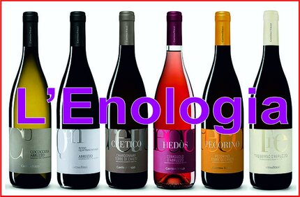 La produzione vinicola in provincia de L’Aquila si sviluppa in un territorio variegato, caratterizzato da altitudini elevate, forti escursioni termiche e terreni ricchi di minerali che favoriscono una viticoltura di qualità. Le vallate interne, come la Valle Peligna, e gli altopiani soleggiati che circondano il Gran Sasso e il Sirente-Velino offrono condizioni ideali per la coltivazione di vitigni autoctoni e tradizionali. Le cantine della zona, spesso a gestione familiare, uniscono tecniche moderne a pratiche antiche, puntando su una produzione sostenibile che esalta l’identità del territorio. I vini che nascono in questa provincia sono apprezzati per la loro personalità e il loro equilibrio. Il Montepulciano d’Abruzzo si distingue per struttura e intensità, con note fruttate e una buona persistenza, mentre il Trebbiano offre profumi delicati e una spiccata freschezza. Negli ultimi anni è cresciuto anche l’interesse per vitigni come il Pecorino e la Cococciola, che regalano bianchi aromatici e minerali. L’insieme di microclimi, altitudini e tradizione enologica rende la provincia de L’Aquila un territorio capace di esprimere vini di grande autenticità, ricchi di carattere e profondamente legati al paesaggio montano abruzzese.