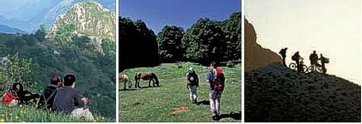 Escursioni nella Regione Abruzzo. L'Abruzzo è una terra di monti e valli, dove la natura è protagonista. Con una vista che si alza verso l'interno della regione, dai punti più bassi della costa si possono ammirare le cime rocciose dei massicci della Laga, del Gran Sasso e della Majella, che segnano la spina dorsale dell'Appennino. Questa catena montuosa, caratterizzata da tratti decisamente alpini, offre paesaggi spettacolari e una straordinaria varietà di ambienti naturali, dalle alture delle vette ai boschi che si estendono ai piedi delle montagne. Il Parco Nazionale del Gran Sasso, il Parco della Majella e quello dei Monti della Laga sono solo alcune delle meraviglie naturali che l'Abruzzo ha da offrire. La regione è un vero e proprio scrigno di biodiversità, con circa un terzo del suo territorio protetto da aree naturali. Il vasto sistema di Parchi e Riserve Naturali ha fatto dell'Abruzzo una delle mete più ambite per il turismo verde, attirando escursionisti, amanti della natura e chiunque voglia immergersi in scenari selvaggi e incontaminati. Questa scelta di proteggere l’ambiente ha reso l'Abruzzo una delle regioni più rispettose della sostenibilità, un esempio di equilibrio tra la conservazione della natura e il benessere delle comunità locali. Le aree protette offrono rifugio a numerose specie animali e vegetali, tra cui orsi marsicani, aquile reali e una ricca flora montana. Le escursioni in Abruzzo sono l’occasione ideale per scoprire questi paesaggi straordinari. I sentieri ben segnalati e i percorsi naturalistici che attraversano i Parchi e le Riserve offrono un'ampia varietà di itinerari per ogni tipo di escursionista, dai principianti agli esperti. Il trekking in Abruzzo permette di esplorare angoli nascosti, valli segrete e panorami mozzafiato, con la possibilità di osservare la fauna locale in ambienti incontaminati. Ogni camminata diventa un’opportunità per vivere un'esperienza unica, lontano dal caos delle città, in una regione che custodisce con orgoglio il suo patrimonio naturale. Se desideri fare un'escursione in Abruzzo, troverai percorsi che soddisfano ogni esigenza: dal semplice trekking tra i boschi alle escursioni più impegnative che raggiungono le vette più alte. Non solo la bellezza della natura, ma anche la storia e la cultura della regione si rivelano lungo il cammino. Ogni passo ti porterà alla scoperta di borghi medievali, rovine di antichi castelli e tradizioni locali. Pianifica la tua prossima avventura grazie a consigli e racconti di altri escursionisti, e preparati a vivere un viaggio indimenticabile tra montagne, boschi e cieli azzurri.