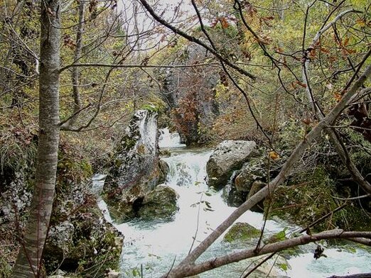 Parchi Naturali, boschi e Trekking: Il selvaggio corso del Fiume Orta. Il selvaggio corso del Fiume Orta. Il fiume Orta, che scorre tra i maestosi monti della Majella, rappresenta uno degli esempi più suggestivi del connubio tra acqua e pietra che caratterizza l'Abruzzo. Il suo corso selvaggio e imponente ha, nel corso dei millenni, scolpito il paesaggio circostante, creando profonde gole e monumenti naturali straordinari. Non appena il fiume scende dalle montagne, si getta nel fiume Pescara, ma prima di farlo, il suo percorso offre alcune delle meraviglie più affascinanti del Parco Nazionale della Majella, come la “cisterna” e i famosi luchi e marmitte. La cisterna è una delle meraviglie naturali più spettacolari della valle. Si tratta di una grande piscina naturale, scavata nella roccia dalla cascata che la alimenta. In primavera, durante il disgelo delle nevi, la cascata si presenta in tutta la sua magnificenza, creando uno spettacolo visivo incredibile. Per raggiungere la cisterna, si percorre un sentiero che parte dalla piazza di Bolognano e si inoltra nel verde, regalando panorami mozzafiato e opportunità di immersione nella natura più pura. L’area è oggi protetta, non solo per la sua bellezza, ma anche per la delicatezza del suo ecosistema, che rischia di essere danneggiato dalla presenza umana. Proseguendo verso valle, in territorio di Caramanico, il fiume continua a plasmare la roccia creando altre formazioni geologiche uniche, come i luchi e le marmitte. I luchi sono spettacolari torrioni di roccia che emergono dal fiume, offrendo uno spettacolo impressionante con le loro pareti ripide e verticali. Il loro nome potrebbe derivare da “lucus”, il bosco sacro degli antichi, e il paesaggio che li circonda conferisce a questa zona un’atmosfera mistica. Le marmitte, invece, sono grandi cavità nella roccia scavate dall’acqua, che formano un canyon profondo e suggestivo, perfetto per gli amanti della natura e della geologia. La valle dell’Orta non è solo un capolavoro naturale, ma anche un luogo intriso di storia. La presenza del ponte Luco, costruito in epoca romana, testimonia il ruolo strategico di questa zona nel passato. Il castello di Luco, che sorgeva su uno dei torrioni di roccia, dominava la vallata, permettendo di controllare il ponte e l'accesso alla valle. La sua costruzione risale al X secolo e si inseriva in un sistema difensivo volto a proteggere il territorio circostante. Oggi, i resti del castello sono visibili ancora sulla cima di uno dei torrioni, a testimonianza di come la natura e la storia si siano intrecciate in questo angolo di Abruzzo.