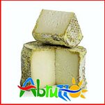 A settembre, uno degli appuntamenti da non perdere è “Buon Gusto”, la festa di Gessopalena, centro della comunità montana Aventino-Medio Sangro, dedicata al sapore unico dei formaggi tipici abruzzesi. Due giorni nel centro storico della cittadina chietina per un itinerario paesaggistico-gastronomico che fonde i sapori della tradizione alla cultura contemporanea, tra convegni, rassegne e concerti. Ma i veri protagonisti della manifestazione sono i produttori di formaggio. Pecorino, caciocavallo e ricotta, abbinati con piatti della tradizione e con i vini locali.