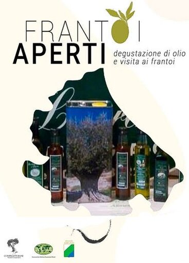 Frantoi Aperti – Loreto Aprutino (Pe). Loreto Aprutino, un pittoresco borgo situato nel cuore dell’Abruzzo, è da sempre un centro nevralgico per la produzione dell’olio extravergine d’oliva. Ogni anno, nel primo fine settimana di novembre, il paese ospita l’atteso evento “Frantoi Aperti”, che celebra la tradizione olivicola della regione. Questo evento, promosso dall’Assessorato all’Agricoltura in collaborazione con l’agenzia Arssa e l’Oleoteca Regionale, rappresenta un’occasione imperdibile per scoprire i segreti della lavorazione dell’olio e immergersi nella storia di una delle produzioni più emblematiche dell’Abruzzo. Durante il weekend di “Frantoi Aperti”, visitatori e appassionati hanno la possibilità di partecipare a visite guidate nei frantoi che punteggiano il territorio, scoprendo da vicino il processo di molitura e i segreti che conferiscono all’olio extravergine d’oliva abruzzese il suo carattere distintivo. Le visite si estendono alle quattro province abruzzesi, permettendo a chi partecipa di esplorare diverse realtà produttive e di comprendere l’importanza di questa coltivazione secolare per le comunità locali. In questo contesto, il Museo dell’Olio e l’Oleoteca Regionale, situati proprio a Loreto Aprutino, offrono un ulteriore approfondimento sulla storia dell’olivicoltura e sul valore dell’olio DOP Aprutino Pescarese. Oltre alle visite nei frantoi, l’evento si arricchisce di numerose iniziative collaterali che rendono l’esperienza ancora più completa. Concorsi fotografici, degustazioni guidate e incontri con esperti del settore sono solo alcune delle attività che coinvolgono il pubblico, dando la possibilità di approfondire la conoscenza delle diverse tipologie di olio e di scoprire i metodi di produzione che rendono unico l’olio abruzzese. Ogni assaggio diventa un viaggio sensoriale alla scoperta delle sfumature di gusto, dal fruttato intenso alla leggera nota piccante che contraddistingue l’olio DOP. “Frantoi Aperti” non è solo un evento, ma una vera e propria celebrazione della cultura dell’olio e delle tradizioni agricole che hanno plasmato il territorio abruzzese. Con il suo mix di storia, cultura e gastronomia, l’iniziativa attira ogni anno numerosi visitatori, diventando un punto di riferimento per chi desidera conoscere i sapori autentici dell’Abruzzo e scoprire l’impegno dei produttori locali nel preservare una tradizione che rappresenta un pilastro della loro identità. Loreto Aprutino, con il suo paesaggio incantevole e la passione per l’olivicoltura, si conferma così come uno dei cuori pulsanti della cultura enogastronomica abruzzese.
