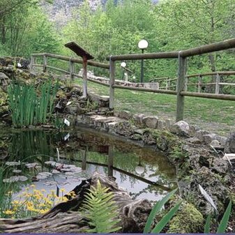 La flora extra mediterranea del Giardino Botanico "Michele Tenore" di Lama dei Peligni rappresenta un'importante testimonianza della biodiversità di ambienti non tipicamente mediterranei. Grazie alla sua posizione all'interno del Parco Nazionale della Maiella, il giardino offre le condizioni ideali per la coltivazione e lo studio di specie vegetali che si sviluppano in climi più freschi e umidi, tipici delle fasce temperate e montane. Queste piante, provenienti da ecosistemi diversi, arricchiscono il paesaggio vegetale e contribuiscono a creare un’area di conservazione e ricerca unica nel suo genere. Tra le specie più rappresentative della flora extra mediterranea si trovano alberi e arbusti adattati a condizioni climatiche fredde e a terreni ricchi di sostanze organiche. Le latifoglie decidue, ad esempio, con le loro chiome che mutano colore nel corso delle stagioni, offrono un suggestivo spettacolo naturale, mentre alcune conifere tipiche degli ambienti montani si distinguono per la loro resistenza alle basse temperature e alla neve. Queste piante, inserite nel contesto del giardino, permettono di osservare l’adattamento della vegetazione a differenti condizioni ambientali e di comprendere i meccanismi evolutivi che regolano la loro sopravvivenza. L’orto botanico ospita anche specie erbacee tipiche delle praterie e delle zone umide, molte delle quali originarie di regioni centro-europee e asiatiche. La presenza di un’ampia varietà di piante montane, caratterizzate da fioriture delicate e colori vivaci, arricchisce ulteriormente la biodiversità dell’area, creando un equilibrio tra flora autoctona e non mediterranea. Queste specie, oltre ad avere un grande valore estetico, svolgono un ruolo fondamentale nel mantenimento della biodiversità, offrendo habitat e risorse alimentari a numerosi insetti impollinatori e piccoli vertebrati. Lo studio della flora extra mediterranea nel Giardino Botanico "Michele Tenore" assume un’importanza particolare anche nell’ambito della conservazione delle specie minacciate. La presenza di piante provenienti da habitat diversi permette di monitorare il loro adattamento ai cambiamenti climatici e di valutare strategie di conservazione per quelle più vulnerabili. Inoltre, l’inserimento di queste specie in un contesto controllato consente di sviluppare progetti di ripopolamento e reintroduzione in ambienti naturali, contribuendo così alla tutela della biodiversità a livello globale. Il giardino botanico, oltre a essere un luogo di ricerca scientifica, rappresenta anche un’area di divulgazione e sensibilizzazione per i visitatori. Passeggiando tra i sentieri, è possibile osservare da vicino la straordinaria varietà della flora extra mediterranea e cogliere l’importanza della sua conservazione. Questo ambiente unico, in cui la vegetazione si intreccia con la storia e la cultura del territorio, offre un’esperienza immersiva che avvicina il pubblico alla conoscenza del mondo vegetale, rafforzando la consapevolezza del valore della natura e della necessità di proteggerla.