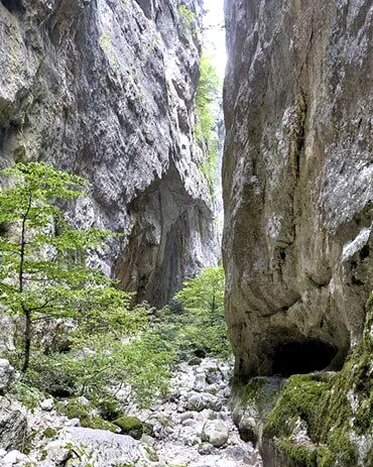 Trekking nelle Gole naturali in Abruzzo: Gole di Celano. Le Gole di Celano sono uno dei paesaggi naturali più affascinanti dell’Abruzzo, un autentico capolavoro della natura che si apre tra il massiccio della Serra di Celano e quello del Sirente. Queste spettacolari formazioni rocciose, con pareti che raggiungono un centinaio di metri d’altezza, creano un suggestivo canyon che si estende fino alla valle sottostante, offrendo agli escursionisti un percorso immerso in una natura selvaggia e incontaminata. La loro posizione, affacciata sulla piana del Fucino, le rende un punto di riferimento per chi desidera esplorare l’anima più autentica dell’Appennino abruzzese. L’escursione attraverso le gole è un’esperienza unica, caratterizzata da sentieri che si snodano tra alte pareti rocciose, passaggi stretti e scorci mozzafiato. Il percorso, pur essendo relativamente accessibile, può presentare difficoltà legate alle condizioni climatiche e al periodo dell’anno. Durante l’inverno e la fase di disgelo, il canyon viene attraversato da un torrente impetuoso che rende il passaggio pericoloso, mentre nei mesi estivi il caldo intenso può rendere il tragitto faticoso, soprattutto nella parte centrale della giornata. Il periodo migliore per visitare le Gole di Celano è tra la fine dell’estate e l’inizio dell’autunno, quando il clima è più mite e il sentiero è generalmente asciutto. In primavera, in particolare nei mesi di maggio e giugno, il paesaggio si arricchisce di colori vivaci e profumi intensi, ma in alcuni tratti potrebbe essere necessario attraversare corsi d’acqua che rendono il cammino più avventuroso. In ogni stagione, il fascino del luogo resta intatto, con giochi di luce e ombra che trasformano le gole in uno spettacolo sempre nuovo. Oltre alla bellezza naturalistica, l’area circostante è ricca di storia e cultura. Il borgo di Celano, con il suo imponente castello Piccolomini, domina la valle offrendo una vista straordinaria sul territorio. Passeggiando per il centro storico si respira un’atmosfera d’altri tempi, tra vicoli in pietra, chiese antiche e tracce di un passato nobile. Nei dintorni, altri piccoli borghi conservano intatte le tradizioni locali, con artigianato tipico e piatti della cucina abruzzese che raccontano la genuinità di questa terra. Le Gole di Celano rappresentano una meta imperdibile per gli amanti della natura, della storia e dell’escursionismo. Ogni visita offre un’esperienza diversa, tra silenzi profondi, suoni della natura e panorami di straordinaria bellezza. Questo angolo d’Abruzzo è una testimonianza della forza modellatrice del tempo e dell’acqua, un luogo dove la natura ha saputo scolpire nel corso dei millenni uno degli scenari più affascinanti della regione.