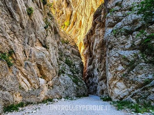 Trekking nelle Gole naturali in Abruzzo. Le Gole di San Martino a Roccamorice (Pe), situate lungo il versante orientale della Maiella, si aprono in un paesaggio imponente e suggestivo che accoglie i visitatori con un passaggio stretto tra pareti rocciose alte e frastagliate. Questo affascinante vallone segna l’inizio di un cammino che conduce fino alla vetta di Monte Amaro, la cima più alta della Maiella, a 2793 metri. L’intero percorso, lungo 14 chilometri con un dislivello di 2300 metri, attraversa alcuni dei terreni più selvaggi e incontaminati dell'intero massiccio montuoso, attraversando tre principali tratti: la Valle di San Spirito, la Valle di Macchia Lunga e la Val Cannella, quest'ultima che si conclude con un circo glaciale dominato dal Rifugio Manzini. La tradizione popolare vuole che le gole siano state aperte da San Martino con la forza delle braccia, per permettere alla gente di Fara di accedere più facilmente agli alti pascoli della Maiella. Tuttavia, l’origine naturale di questa meraviglia è il risultato dell’erosione incessante provocata dalle acque torrentizie, che nel corso dei millenni hanno scavato la roccia, in particolare durante le fasi glaciali del Quaternario. Oggi, le gole offrono una stratificazione geologica evidente, con le rocce più antiche della Maiella che affiorano man mano che si sale lungo il percorso. Queste rocce sono costituite da calcari beige e nocciola risalenti al Cretaceo inferiore, arricchiti da fossili di alghe e foraminiferi bentonici. Durante l'escursione, uno degli incontri più affascinanti è il monastero di San Martino in Valle, che sorge in un luogo scenografico e che è stato recentemente riportato alla luce da scavi archeologici. Questo monastero, che rappresenta uno degli edifici religiosi più significativi della zona, si inserisce perfettamente nel contesto naturale, regalando ai visitatori un’impronta di spiritualità e di storia millenaria. Inoltre, poco distante, si trovano affioramenti rocciosi ricchi di rudiste, antichi molluschi estinti che una volta formavano le scogliere della regione, oggi ben visibili anche su Cima Murelle. Per accedere alle gole, si può partire dalla Villa Comunale di Fara, seguendo la strada verso i pastifici e poi imboccando una sterrata che porta al sentiero principale. Un altro accesso è rappresentato dal tornante che scende da Lama dei Peligni, offrendo una vista spettacolare sulle gole. Poiché il territorio è particolarmente impervio, è consigliabile percorrere il percorso con guide esperte, che possano garantire la sicurezza lungo un cammino che, seppur affascinante, può nascondere insidie, come la caduta di massi, soprattutto in caso di maltempo. Le Gole di San Martino, con il loro paesaggio mozzafiato e la loro ricchezza geologica e storica, rappresentano una delle destinazioni più affascinanti della Maiella. Chi le percorre può immergersi in un viaggio che non solo affascina per la bellezza naturale, ma che offre anche l’opportunità di esplorare un territorio intriso di storia e di leggende, dove la montagna, la spiritualità e la geologia si fondono in un’unica esperienza unica e irripetibile.
