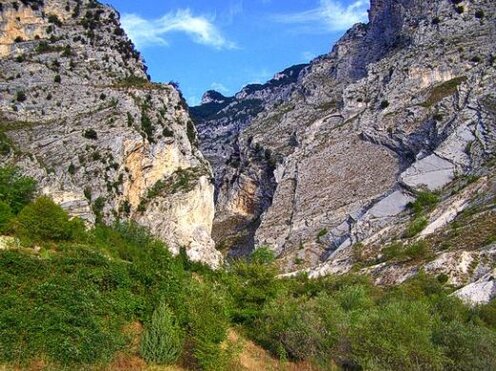 Parchi Naturali, boschi e Trekking: Le gole di San Martino. Le gole di San Martino, situate nel cuore del Parco Nazionale della Majella, sono un’area naturalistica di grande bellezza e suggestione. Il vallone di San Martino è uno dei canyon più lunghi d’Italia, estendendosi per 14 chilometri tra pareti rocciose che si innalzano a picco, offrendo un panorama mozzafiato. Il percorso, che inizia nel pittoresco borgo di Fara San Martino, è facilmente accessibile e si adatta sia a escursionisti esperti che a chi desidera semplicemente immergersi nella natura. Fara San Martino, famoso per la sua tradizione pastaia, rappresenta un ottimo punto di partenza per esplorare la Majella, una delle montagne più imponenti e selvagge d’Abruzzo. L’esperienza di camminare lungo il vallone di San Martino è unica. Il sentiero inizia con una fase comoda, ma presto la gola si restringe, dando vita a stretti passaggi che suscitano una sensazione di vastità e di vertigine. Le alte pareti rocciose sembrano quasi schiacciare il visitatore, mentre la luce che filtra dall’alto crea giochi di ombre e luci che accentuano l’atmosfera misteriosa del luogo. Lungo il percorso, è possibile osservare il restò del campanile dell’antica abbazia di San Martino, sommersa da una terribile alluvione nel XIX secolo, che ne ha lasciato solo alcuni blocchi emergenti tra la ghiaia del vallone. Man mano che il cammino prosegue, il sentiero diventa più stretto e il dislivello aumenta, rendendo il percorso più impegnativo. Si alternano tratti di estrema verticalità a piccoli slarghi, dove la natura sembra accogliere l’escursionista in uno scenario quasi surreale. Il sentiero sale dolcemente attraverso il bosco di faggi, che, soprattutto nei mesi più caldi, offre rifugio e frescura. La salita, che porta fino ai 2300 metri del Monte Amaro, rappresenta una vera e propria sfida, adatta a chi è ben preparato fisicamente. Il periodo migliore per percorrere le gole di San Martino dipende dalle condizioni climatiche, ma la stagione estiva è sicuramente la più adatta per godere appieno delle meraviglie naturali del vallone. Tuttavia, raggiungere la vetta del Monte Amaro richiede una buona preparazione, sia fisica che tecnica, visto il dislivello significativo e l’impegno che comporta. Il panorama che si svela alla fine del percorso ripaga ogni fatica, offrendo una vista straordinaria sulla Majella e sulle valli circostanti. Questo trekking è un’esperienza imperdibile per chi cerca un contatto profondo con la natura selvaggia dell’Abruzzo.