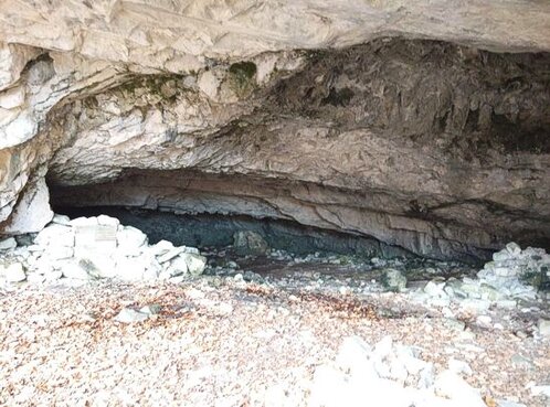La Grotta dell’Eremita, situata sul versante nord-est del Vallone di Angri a un’altitudine di circa 1217 metri, è un affascinante esempio di cavità naturale in Abruzzo. La sua storia esplorativa risale al 1927, quando alcuni soci del CAI di Teramo documentarono la prima visita. Tuttavia, fu solo nel 1968 che un gruppo di appassionati speleologi riuscì a ritrovarla, guidato dal racconto di un’anziana signora di Farindola. Da giovane, la donna aveva scoperto la grotta mentre cercava una capretta scomparsa del suo gregge, attratta dalla presenza di acqua all'interno della cavità. La sua descrizione della grotta, ricca di formazioni simili a mortai e candelabri, trovò conferma nelle imponenti stalagmiti e stalattiti osservate dagli esploratori. Purtroppo, negli anni successivi, la grotta subì il saccheggio di molte delle sue spettacolari concrezioni, portando alla temporanea installazione di una rete di protezione e di una porta d’ingresso, oggi non più in uso. Oggi l’accesso alla grotta è reso più agevole da un sentiero che permette di raggiungerla senza difficili arrampicate. Il nome della grotta è legato a una leggenda secondo cui un eremita vi avrebbe abitato, sebbene non esistano prove storiche della sua permanenza. Un’altra narrazione popolare racconta che, il giorno della sua partenza, l’eremita lanciò il proprio bastone verso i Merletti di Villa Celiera e, nel punto in cui toccò terra, nacque un giglio che continua a sbocciare ogni anno nello stesso luogo. L’ampio ingresso della grotta permette di scorgere il primo ambiente, caratterizzato da concrezioni scurite, coperte da muschi e licheni a causa dell’esposizione agli agenti atmosferici. Più in profondità, la grotta si sviluppa in ambienti dal fascino intatto, con formazioni calcaree candide e levigate che assumono forme singolari. Dal soffitto pendono stalattiti di diverse conformazioni, alcune con caratteristiche aperture centrali. Il fenomeno dello stillicidio si intensifica nei periodi di scioglimento delle nevi, formando piccole vasche di acqua cristallina sulla superficie delle stalagmiti. In alcune di queste si trovano le pisoliti, conosciute anche come perle di grotta. La grotta è inoltre rifugio per diverse specie di fauna sotterranea: piccoli pipistrelli vi svernano durante l’inverno, mentre in primavera ed estate non è raro incontrare anfibi e rettili in cerca di riparo. La presenza dell’insetto ipogeo Dolichodopa geniculata conferma l’importanza biologica dell’ecosistema interno. Nonostante il suo sviluppo prevalentemente orizzontale, la Grotta dell’Eremita è accessibile solo a escursionisti esperti, poiché l’ultimo tratto del sentiero richiede il superamento di alcuni passaggi rocciosi. Per preservare la delicatezza delle formazioni calcaree, è necessario l’uso di guanti durante la visita, evitando il contatto diretto con le concrezioni. La grotta rimane isolata nei mesi invernali, mentre in primavera e autunno è accessibile solo in condizioni meteorologiche favorevoli. L’estate rappresenta il periodo ideale per l’esplorazione. La tutela di questo ambiente unico è fondamentale, ed è vietato prelevare o danneggiare le formazioni naturali, per garantirne la conservazione per le future generazioni.