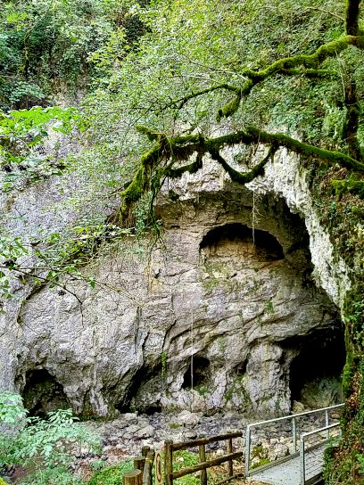 La Riserva naturale regionale controllata Grotte della Luppa (Abruzzo). La Grotta della Luppa si apre tra i boschi fitti dell’Abruzzo, celata in un paesaggio selvaggio che ne rende difficile l’individuazione. Si tratta di una cavità carsica complessa, modellata nei secoli da un torrente sotterraneo dal carattere mutevole, capace di alternare momenti di quiete a improvvise impennate di forza, che hanno profondamente inciso la morfologia della zona. Questo inghiottitoio ha da sempre affascinato speleologi e studiosi per la sua natura imprevedibile e per il ruolo che ha svolto nella trasformazione geologica del territorio circostante, lasciando tracce evidenti nel modellamento delle rocce e nel sistema idrico ipogeo. L’origine del nome “Luppa” resta avvolta nel mistero, alimentando il fascino del luogo. Le fonti storiche a disposizione sono rare e frammentarie: compare in una memoria di Phoenobio datata 1678 e in una carta del geografo Revillas del 1735, che documentano l’esistenza di una significativa circolazione idrica sotterranea. L’etimologia potrebbe risalire al nome dialettale dell’upupa, uccello dalla presenza discreta ma caratteristica nei boschi abruzzesi, oppure al termine latino “lapis”, in riferimento alla natura rocciosa e aspra del monte Guardia d’Orlando, sotto il quale si estende la grotta. La Grotta della Luppa è oggi oggetto di crescente interesse da parte degli appassionati di speleologia e degli studiosi del paesaggio carsico. Il suo ambiente misterioso e la difficoltà di accesso ne fanno una meta per esplorazioni esperte, ma anche un simbolo del patrimonio naturale nascosto dell’Abruzzo, dove la forza dell’acqua e il silenzio della pietra raccontano una storia millenaria che continua a plasmare il territorio.