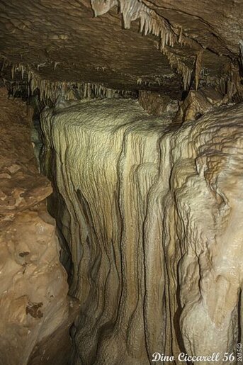 Le Grotte naturali in Abruzzo: Grotta della Lupa di Ripa Rossa. La Grotta della Lupa di Ripa Rossa si trova all’interno della miniera di Santo Spirito, nei pressi dell’omonimo eremo celestiniano, in un’area di grande valore storico e naturalistico. L’accesso alla grotta avviene attraverso una galleria mineraria che conduce a un vasto ambiente sotterraneo caratterizzato da un’imponente sala principale. Da qui si dirama una complessa rete di gallerie, alcune delle quali superano i venti metri di altezza, arricchite da spettacolari stalattiti, colonne calcaree e delicate vele di roccia. Lungo il percorso sotterraneo si possono ammirare piccole vasche naturali in cui l’acqua, filtrando lentamente dalla roccia, ha dato origine a straordinari cristalli, il cui scintillio amplifica il fascino misterioso della grotta. La scoperta della grotta è avvenuta nel 2015 grazie al Gruppo di Ricerca di Archeologia Industriale della Majella, che individuò il punto in cui un ramo della miniera di Santo Spirito intercettava la cavità. Questo ritrovamento ha dato il via alle prime esplorazioni approfondite, condotte dallo Speleo Club Chieti con l’ausilio di avanzate tecnologie di rilevamento, tra cui il sistema di scansione laser 3D. Nel corso delle indagini sono emersi importanti resti paleontologici, segno di un’antica frequentazione da parte della fauna locale. Le formazioni calcaree, insieme ai reperti rinvenuti, hanno confermato il valore scientifico di questa grotta, rendendola un punto di grande interesse per studiosi e appassionati di speleologia. Nel settore più elevato della grotta sono stati trovati numerosi resti ossei appartenenti a diverse specie animali, tra cui orsi bruni, lupi, cervi e capre domestiche. Questi ritrovamenti suggeriscono che l’area fosse utilizzata da secoli come rifugio naturale per la fauna selvatica. La grotta è accessibile attraverso tre ingressi situati a circa 1075 metri sul livello del mare, ma il suo percorso si sviluppa con un dislivello complessivo di circa 230 metri, rendendola una cavità di notevole complessità esplorativa. Le difficili condizioni ambientali e la morfologia del sito richiedono particolari precauzioni per la sua esplorazione, limitata a speleologi esperti e a gruppi di ricerca specializzati. Nel 2016 il Comune di Roccamorice ha avviato un progetto finalizzato alla valorizzazione della Grotta della Lupa e della Miniera di Ripa Rossa, con l’intento di trasformarla in un laboratorio permanente di ricerca scientifica. Grazie a questo progetto, si sta lavorando alla creazione di percorsi virtuali che permetteranno di esplorare la grotta a distanza, offrendo un’esperienza immersiva nel cuore di questo straordinario ambiente sotterraneo. La possibilità di accedere a una ricostruzione digitale dettagliata consentirà di preservare la grotta, proteggendo le sue delicate conformazioni e i reperti archeologici e paleontologici che ne raccontano la storia.