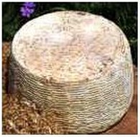 Caciofiore aquilano. Nella provincia dell’Aquila si è ripresa la produzione del caciofiore dopo un abbandono per circa sessant'anni. Questo formaggio ha origini antiche legate ai pascoli di altura dove era abitudine utilizzare il caglio di carciofo selvatico (Carlina acaulis), pianta spontanea dei pascoli abruzzesi, e aggiungere un pizzico di zafferano, che gli conferisce un particolare colore giallino e un sapore molto gradevole. Il caciofiore aquilano è un formaggio da pronto consumo, a pasta morbida e cremosa, ottenuto da latte ovino. Viene preparato in forme piuttosto piccole e schiacciate, dal peso variabile tra 0,5 kg e 1 kg. E' un ottimo formaggio da tavola che si consuma fresco o semifresco. Può essere anche utilizzato in cucina per alcune ricette, come condimento per un piatto di pasta, tagliato a pezzetti ed unito al burro, oppure per gratinare delle verdure, come zucchine o carote. Suggerimenti: Il caciofiore aquilano fa parte dell'Arca del Gusto, progetto della Fondazione Slow Food che raccoglie le piccole produzioni di eccellenza gastronomica minacciate dall'agricoltura industriale, dal degrado ambientale, dall'omologazione.