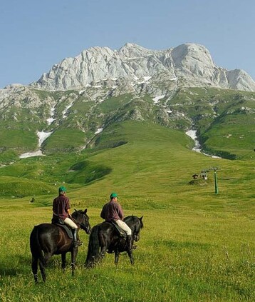 L'Ippovia del Gran Sasso d'Italia è un affascinante percorso equestri che attraversa il cuore del Parco Nazionale del Gran Sasso e Monti della Laga, una delle aree naturali più suggestive e incontaminate d'Italia. Questo itinerario, adatto a cavalieri di tutti i livelli, si sviluppa tra le maestose montagne del Gran Sasso, offrendo una straordinaria varietà di paesaggi. Cavalcando lungo i suoi sentieri, si possono ammirare vasti pascoli, boschi di abeti e faggi, e panorami spettacolari che spaziano dalle cime più alte dell'Appennino, come il Corno Grande, fino alle valli e ai borghi che caratterizzano questa parte d'Abruzzo. L'ippovia consente di esplorare un territorio ricco di biodiversità, ideale per chi desidera scoprire le bellezze naturali del Gran Sasso, con la possibilità di avvistare anche numerose specie faunistiche, come l'aquila reale e il camoscio appenninico. Il percorso attraversa diverse zone protette e riserva meravigliose soste in punti panoramici, dove è possibile respirare aria pura e godere di una calma assoluta. L'itinerario si collega anche a sentieri di trekking, permettendo di esplorare in profondità la natura selvaggia della zona. Cavalcare attraverso l'Ippovia del Gran Sasso d'Italia significa vivere un'esperienza immersa in un'atmosfera incontaminata e lontana dal caos quotidiano. Non solo natura, ma anche storia e tradizione locale: i viaggiatori possono scoprire borghi montani che custodiscono antiche tradizioni culturali, chiese e rifugi storici, aggiungendo un elemento storico e umano alla bellezza selvaggia del Gran Sasso. Questo percorso rappresenta una delle esperienze più complete e affascinanti per chi ama l'equitazione e la natura.