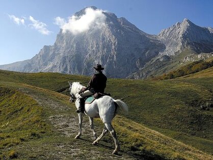 L'Ippovia del Parco Nazionale d'Abruzzo, Lazio e Molise rappresenta un'esperienza unica per gli amanti dell'equitazione, offrendo un percorso affascinante che attraversa uno dei parchi naturali più importanti e suggestivi d'Italia. Questo sentiero equestre si snoda tra paesaggi mozzafiato, dove la natura incontaminata è il protagonista assoluto. Il percorso, che si sviluppa per oltre 100 chilometri, collega diverse località del parco e consente di esplorare boschi, montagne e valli in sella a un cavallo, unendo l'amore per la natura con la passione per l'equitazione. Lungo il cammino, i cavalieri possono ammirare le meraviglie paesaggistiche che variano dal verde delle foreste di faggio e abete, alle vette innevate dei monti Appennini. La varietà di ambienti è straordinaria, passando da boschi e radure, a panorami alpini, dove il silenzio è interrotto solo dal rumore degli zoccoli dei cavalli. Le escursioni equestri offrono anche la possibilità di scoprire numerosi angoli di natura selvaggia, abitati da una fauna ricca e variegata, come il camoscio appenninico, l'orso marsicano e il lupo. Il percorso dell'ippovia si sviluppa in tappe, permettendo ai cavalieri di sostare in rifugi e strutture agrituristiche situate lungo la strada. Questi punti di sosta sono ideali per rigenerarsi, godendo di piatti tipici e tradizionali che rappresentano il cuore della cucina abruzzese, come la pasta alla chitarra e i formaggi locali. Ogni tappa dell'ippovia offre anche la possibilità di esplorare piccoli borghi montani, ricchi di storia e tradizioni, dove il tempo sembra essersi fermato. La sicurezza del percorso è garantita da una segnaletica adeguata e da una rete di supporto che assicura l'assistenza ai cavalieri durante il viaggio. Ogni tratto è stato progettato in modo tale da adattarsi sia a cavalieri esperti che a principianti, con possibilità di scelta tra percorsi più impegnativi o più semplici. Inoltre, l'ippovia è collegata ad altri sentieri escursionistici, offrendo la possibilità di combinare diverse esperienze di natura e sport. In sintesi, l'Ippovia del Parco Nazionale d'Abruzzo, Lazio e Molise è un'opportunità imperdibile per chi desidera vivere a stretto contatto con la natura, esplorando uno dei parchi più belli d'Italia. Grazie alla sua diversità di paesaggi e alla possibilità di scoprire borghi e tradizioni, rappresenta una delle esperienze equestre più affascinanti del panorama nazionale, capace di soddisfare tanto i principianti quanto i cavalieri più esperti.