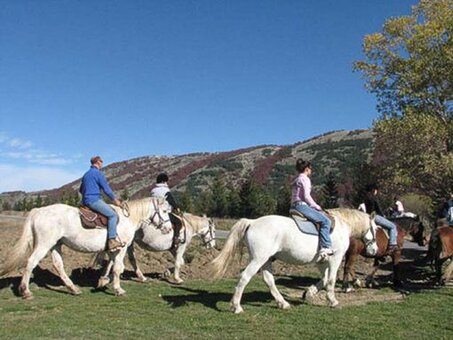 L'Ippovia dei Parchi delle Montagne del Sirente-Velino è un percorso straordinario che offre la possibilità di esplorare l'Abruzzo più selvaggio e incontaminato, a cavallo, immergendosi nella natura del Parco Nazionale del Velino-Sirente. Il percorso inizia dalla strada statale, vicino all'Ippovia Ovindoli-Rovere, dove si imbocca un tratto di strada sterrata che porta a un sentiero più stretto. Da qui, i cavalieri possono percorrere il sentiero CAI 13, che si inoltra nel cuore del parco, fino a raggiungere il sentiero Acqua delle Fate. Questo tratto segna l'inizio della salita, che, soprattutto in inverno, offre una vista spettacolare sulle montagne coperte di neve. Man mano che il percorso prosegue, si affronta una cresta che conduce ai canali gemelli, un tratto particolarmente impegnativo dove i ramponi sono necessari per la salita, specialmente in presenza di neve. Il cammino è faticoso, ma la bellezza dei panorami che si aprono durante la salita rende ogni passo un'esperienza unica e memorabile. L’ippovia prosegue lungo la cresta montuosa, conducendo i cavalieri fino a Punta Macerola, a 2258 metri di altitudine, da cui si può ammirare un paesaggio mozzafiato che si estende su tutta la zona circostante. Arrivando alla cima del Monte Sirente, che raggiunge i 2348 metri, si raggiunge il punto culminante dell'escursione. Da qui, la discesa comincia verso il canale Maiori, un tratto altrettanto suggestivo dove la neve copre il terreno, creando un'atmosfera fiabesca. Questo percorso fuori sentiero è adatto solo a cavalieri esperti, ma offre la possibilità di godere di una tranquillità unica, immersi nel bianco candido della neve. La discesa continua fino a 1600 metri di altitudine, dove il percorso si riallaccia al sentiero dell'andata, riportando i partecipanti al punto di partenza. Il percorso dell'Ippovia dei Parchi delle Montagne del Sirente-Velino è impegnativo e richiede una buona preparazione fisica e l'uso di attrezzatura adeguata, come ramponi e bastoncini. Tuttavia, per chi cerca un'esperienza più rilassante, il cavallo rappresenta un'alternativa perfetta per scoprire i panorami circostanti. L'itinerario si snoda attraverso una rete di percorsi che collega i diversi centri abitati dell'area protetta, consentendo di esplorare borghi medievali, castelli, chiese e conventi, tutti immersi in paesaggi montani, vallivi e fluviali. Il Parco Nazionale del Velino-Sirente offre anche l'opportunità di percorrere l'ippovia in più tappe giornaliere, permettendo di esplorare a cavallo sentieri antichi che raccontano storie di un tempo passato, soppiantati dalla modernità. Ogni tappa è un invito a combinare la bellezza della natura con la scoperta della storia e della cultura di questi luoghi ricchi di fascino. L’escursione è consigliata con il supporto di guide equestri esperte, in grado di accompagnare i partecipanti alla scoperta di angoli nascosti di questo territorio mozzafiato, sia in primavera e estate, sia durante le emozionanti cavalcate sulla neve in inverno.