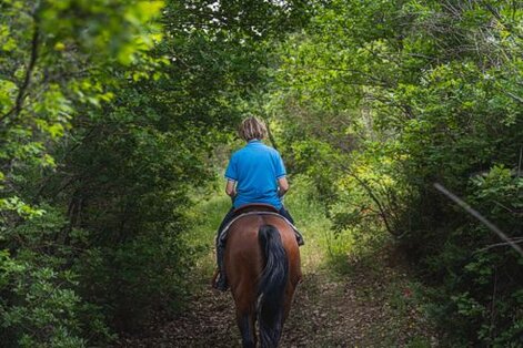 L'Ippovia della Valle del Tirino rappresenta un'opportunità unica per esplorare la bellezza naturale e selvaggia dell'Abruzzo in sella a un cavallo. Il percorso ha inizio a Capestrano (AQ), un piccolo borgo immerso nella tranquillità della valle, e si sviluppa lungo sentieri sterrati all'interno del Parco del Gran Sasso e Monti della Laga. La proposta si distingue per un'esperienza esclusiva, grazie alla guida esperta che accompagna ogni gruppo, garantendo una connessione più intima con il paesaggio circostante. Ogni turno è limitato a un massimo di due partecipanti, così da permettere una fruizione più personale e profonda della natura. Il tragitto si estende per circa 79,1 chilometri e presenta un dislivello massimo di 195 metri, attraversando alcuni dei luoghi più suggestivi della regione. Il percorso si snoda tra la Valle del Tirino e quella dell'Aterno, seguendo un antico itinerario legato alle acque che ha contribuito a plasmare il paesaggio. Lungo il cammino, si possono ammirare scenari mozzafiato, dove le montagne e i fiumi sono protagonisti indiscussi. L'ippovia attraversa anche due riserve naturali regionali, le Sorgenti del Pescara e le Gole di San Venanzio, che rappresentano angoli di natura incontaminata e di rara bellezza. Il percorso costeggia cinque fiumi, il Pescara, il Tirino, l'Aterno, il Sagittario e il San Calisto, offrendo così numerosi punti panoramici da cui osservare il fluire delle acque e la ricca vegetazione che le circonda. Durante l'escursione, è possibile scoprire le sorgenti naturali di questi fiumi, come quelle del Pescara, del Tirino e del San Calisto, che arricchiscono ulteriormente l'esperienza di chi percorre questa ippovia. La presenza costante dell'acqua, che alimenta l'intero ecosistema, aggiunge un elemento di serenità e bellezza al viaggio. Le strade che compongono l'ippovia sono per la maggior parte carrabili e sterrate, ma non mancano brevi tratti asfaltati, soprattutto nei punti di attraversamento del fiume Tirino e nei centri abitati di Bussi e Popoli. Sebbene la maggior parte del percorso sia facilmente percorribile, alcuni tratti si sviluppano su sentieri più naturali, dove è possibile godere appieno della solitudine della natura. Ogni sentiero è stato scelto con attenzione per garantire la sicurezza e la piacevolezza del tragitto, sia per i cavalieri esperti che per chi si avvicina per la prima volta a questa forma di turismo. Infine, l'Ippovia della Valle del Tirino offre anche la possibilità di scegliere tra due percorsi distinti, ognuno di circa 22-25 chilometri di lunghezza. Questa suddivisione consente di affrontare il viaggio in tappe più brevi, perfette per chi preferisce godersi il paesaggio a un ritmo più tranquillo, senza dover percorrere l'intero tracciato. In ogni caso, l'esperienza di cavalcare tra le montagne e i fiumi dell'Abruzzo rimane indimenticabile, un vero e proprio tuffo nella natura più selvaggia e autentica della regione.