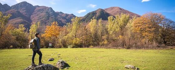 La Camosciara: Un angolo selvaggio nel cuore del Parco Nazionale d’Abruzzo. Nel cuore del Parco Nazionale d'Abruzzo, Lazio e Molise, la Camosciara è uno dei luoghi più suggestivi e incontaminati. Questa valle selvaggia, che si trova a pochi chilometri da Opi e Villetta Barrea, è da sempre un rifugio naturale per molte specie animali simbolo della regione, come l’orso marsicano, il camoscio, il lupo, la lince e il cervo. La sua posizione, con pendii ripidi, boschi fitti e formazioni rocciose, ha fatto sì che questo angolo di Abruzzo rimanesse protetto dall’intervento umano, offrendo un ecosistema ideale per la fauna locale. Per raggiungere la Camosciara, bisogna percorrere la statale 83 Marsicana e arrivare fino al Casone Antonucci, un edificio storico che oggi ospita attività educative legate alla conservazione del Parco. Da qui inizia una strada asfaltata che, dopo un chilometro, è bloccata da una sbarra. I visitatori proseguono a piedi o in bicicletta per un percorso che li porta fino al piazzale della Camosciara, a 1100 metri di altitudine, circondato da magnifiche faggete secolari. Questo punto rappresenta una base perfetta per esplorare la valle e le sue bellezze naturali. Dal piazzale, un breve sentiero-natura conduce alla spettacolare cascata delle Ninfe, un’oasi di frescura e bellezza, facilmente raggiungibile grazie a un ponte che scavalca il ruscello che alimenta la cascata stessa. Per chi desidera una vista più panoramica, un altro sentiero, più ripido, porta a una posizione privilegiata per ammirare la cascata dall’alto e prosegue fino al Rifugio Belvedere della Liscia, a 1440 metri di altitudine, da dove si possono osservare i maestosi paesaggi circostanti. La Camosciara, con il suo fascino incontaminato, rappresenta un’autentica immersione nella natura. Non solo è un luogo ideale per gli amanti del trekking e della fotografia naturalistica, ma anche per chi cerca il contatto diretto con la selvaggia bellezza del Parco Nazionale d'Abruzzo. La combinazione di paesaggi mozzafiato, fauna selvatica e sentieri affascinanti la rende una meta imperdibile per chiunque voglia scoprire il cuore più autentico e incontaminato di questa meravigliosa regione.