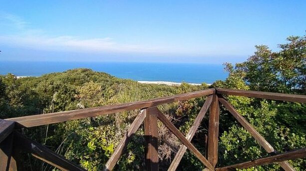 In Abruzzo, tra le aree di particolare interesse naturalistico e ambientale, spiccano la Riserva Naturale Regionale Lecceta di Torino di Sangro e la Riserva Naturale Regionale del Bosco di Don Venanzio, due autentici scrigni di biodiversità situati lungo la costa dei trabocchi e nell'entroterra collinare. La Lecceta di Torino di Sangro si estende su un promontorio che guarda l’Adriatico, con una fitta vegetazione di leccio, un albero sempreverde tipico della macchia mediterranea, che qui raggiunge un raro sviluppo boschivo. La riserva è attraversata da sentieri panoramici che conducono al Cimitero Militare Britannico, offrendo non solo esperienze naturalistiche ma anche storiche, in un ambiente ricco di silenzio, memoria e bellezza. Il Bosco di Don Venanzio, situato nel territorio di Pollutri, rappresenta un’oasi verde preziosa per la tutela della flora e della fauna locali. Qui si conservano lembi di bosco planiziale con querce secolari, accompagnati da ambienti umidi e radure che favoriscono la presenza di numerose specie animali e vegetali. L’area, ideale per escursioni e attività didattiche, è un esempio virtuoso di come la natura possa convivere armoniosamente con la comunità locale, promuovendo educazione ambientale e valorizzazione del territorio. Entrambe le riserve testimoniano la straordinaria ricchezza naturalistica dell’Abruzzo e il forte impegno nella salvaguardia del paesaggio e della biodiversità.