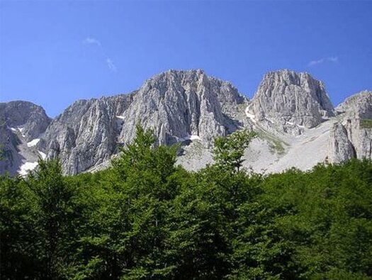 Il mare e la montagna in Abruzzo: Da Aielli al monte Secino. Da Aielli al monte Secino. Aielli, con il suo incantevole centro medievale affacciato sul Fucino, è il punto di partenza ideale per un’avventura a piedi verso il Monte Secino. Il borgo, che conserva tracce del suo passato storico e affascina con le sue vie strette e la torre medievale, è il preludio perfetto a una giornata di trekking. La bellezza del paesaggio che circonda Aielli, con la vista sulla vasta piana del Fucino e le montagne che si stagliano all’orizzonte, crea una sensazione di pace e di connessione con la natura, mentre il cammino verso il Monte Secino inizia a farsi strada tra i boschi e le colline circostanti. Il sentiero che porta al Monte Secino è una sfida per i più avventurosi, poiché la strada che sale verso la montagna è impervia e poco mantenuta. La difficoltà del percorso, però, è ampiamente compensata dalla bellezza del paesaggio che si svela passo dopo passo. Lungo il cammino, il panorama cambia continuamente, regalando scorci spettacolari sulla piana di Aielli e sulle gole di Celano. Man mano che si sale, il respiro si fa più profondo, il silenzio si fa più intenso, e l’atmosfera diventa sempre più suggestiva, con la natura che si fa protagonista assoluta del cammino. Una volta raggiunta la cima del Monte Secino, a 1506 metri di altitudine, la vista che si apre di fronte agli occhi è semplicemente mozzafiato. Il Monte Secino offre uno degli scorci più belli d’Abruzzo, con una vista panoramica che spazia dalle gole di Celano alla Serra di Celano, dal Fucino ai monti Simbruini. Il Parco Nazionale d'Abruzzo, Lazio e Molise appare in tutta la sua grandezza, con le sue valli verdi e le cime montuose che emergono in lontananza. L’esperienza di raggiungere la vetta è un momento di pura connessione con la natura, dove ogni passo porta più vicino a un’armonia tra uomo e ambiente. Il Monte Secino non è solo una meta panoramica, ma anche un luogo ricco di storia. In cima alla montagna si trovano le vestigia delle fortificazioni italiche, che si possono ancora ammirare attraverso i resti di terrapieni e cinte murarie. Queste strutture, risalenti a un’epoca antica, aggiungono un fascino misterioso al luogo, facendo sentire il visitatore parte di una storia millenaria che ha avuto luogo proprio su queste montagne. Il trekking da Aielli al Monte Secino non è solo un’esperienza fisica, ma anche un viaggio nel tempo, un’immersione nella storia e nella bellezza selvaggia dell’Abruzzo.
