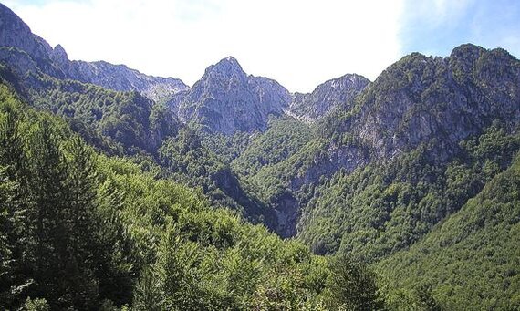 Nei Monti Marsicani, la flora si sviluppa in una straordinaria varietà di ambienti che vanno dalle zone collinari fino alle alte vette appenniniche, creando un mosaico vegetale di rara bellezza. Le faggete vetuste, riconosciute anche come patrimonio UNESCO, dominano il paesaggio boschivo, accompagnate da aceri, tassi, agrifogli e, alle quote più elevate, da estese praterie d’alta quota. In primavera e in estate, i pascoli si colorano di fioriture spettacolari, con specie endemiche e rare come la genziana, il giglio martagone e la stella alpina dell’Appennino, rendendo l’area un importante punto di riferimento per botanici ed escursionisti. La fauna dei Monti Marsicani è tra le più ricche e tutelate dell’intero Appennino. Questo territorio ospita alcune delle specie più emblematiche e minacciate d’Europa, prima fra tutte l’orso bruno marsicano, un animale schivo e solitario, simbolo della conservazione ambientale in Italia. Accanto a lui vivono il lupo appenninico, il camoscio d’Abruzzo, il cervo, il capriolo e numerosi piccoli mammiferi. L’avifauna è altrettanto ricca, con presenze importanti come l’aquila reale, il gufo reale, il picchio dorsobianco e diverse specie di passeriformi che popolano boschi e radure. Questo patrimonio naturale è tutelato da decenni grazie all’istituzione del Parco Nazionale d’Abruzzo, Lazio e Molise, che proprio nei Monti Marsicani trova il suo nucleo più prezioso. Gli interventi di conservazione, la creazione di aree faunistiche e la promozione di un turismo responsabile hanno permesso di mantenere un equilibrio tra la presenza dell’uomo e la sopravvivenza di specie vulnerabili. Camminare in questi luoghi significa immergersi in un ecosistema ancora integro, dove ogni dettaglio – un albero, un suono, una traccia sul terreno – racconta la vita nascosta di una natura antica e protetta.