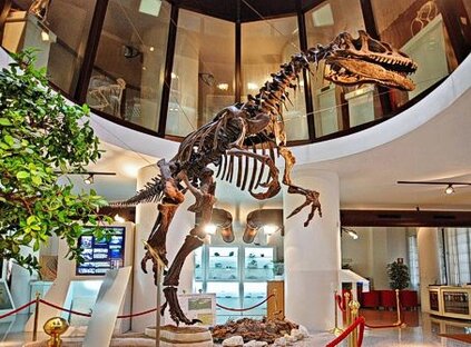 Il Museo di Storia delle Scienze Biomediche di Chieti rappresenta una delle realtà culturali più originali e innovative dell’Abruzzo, capace di coniugare storia, scienza e divulgazione in un percorso espositivo unico nel suo genere. Nato con l’obiettivo di documentare l’evoluzione della medicina e delle discipline biologiche, il museo ospita collezioni straordinarie di strumenti scientifici, apparecchiature diagnostiche storiche, modelli anatomici e materiali didattici che raccontano secoli di sperimentazione, ricerca e progresso scientifico. Le sale sono organizzate in modo da guidare il visitatore attraverso tappe storiche fondamentali, dalle prime pratiche mediche all’affermarsi della moderna scienza biomedica, mostrando come le scoperte e le innovazioni tecnologiche abbiano profondamente influenzato la vita quotidiana e la salute delle comunità. L’allestimento, chiaro e interattivo, consente di comprendere non solo la dimensione tecnica della medicina, ma anche l’impatto sociale, culturale e scientifico delle scienze biomediche sul territorio e oltre, trasformando la visita in un’esperienza educativa e coinvolgente. Il museo assume inoltre un ruolo di riferimento per la formazione e la sensibilizzazione scientifica a livello locale e nazionale, ospitando convegni, laboratori e iniziative didattiche rivolte a studenti, ricercatori e appassionati. La sua posizione nel centro storico di Chieti lo rende facilmente accessibile, e la ricchezza delle collezioni, unita a percorsi tematici innovativi, permette di avvicinare il pubblico di ogni età alla storia della medicina, alla scoperta delle tecniche antiche e moderne e al fascino delle scienze applicate alla vita quotidiana. In questo modo, il Museo di Storia delle Scienze Biomediche non è solo uno spazio espositivo, ma un vero e proprio polo culturale e scientifico, in grado di raccontare la lunga e complessa relazione tra uomo, salute e conoscenza, confermando Chieti come una delle città abruzzesi più attente alla valorizzazione della scienza e della cultura.