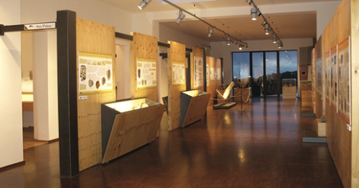 Il Museo Geopaleontologico Alto Aventino di Palena (CH) offre un affascinante viaggio nel passato geologico e biologico della Terra, con una particolare attenzione alla geodiversità e alla biodiversità del nostro pianeta. Il museo si propone di connettere l’evoluzione geologica con la storia della vita sulla Terra, utilizzando la scienza della geologia per far riflettere sui cambiamenti ambientali che hanno plasmato il nostro pianeta nel corso dei millenni. Le collezioni paleontologiche e geologiche presenti nel museo raccontano la storia di un determinato luogo in un preciso periodo geologico, mettendo in evidenza la ricchezza di ambienti e paesaggi che hanno caratterizzato la Terra in epoche remote. Le esposizioni sono suddivise in varie sezioni che permettono di esplorare la paleogeografia e la paleoecologia di diversi periodi storici. Tra i principali protagonisti del percorso museale ci sono i reperti paleontologici, tra cui fossili di vertebrati del Miocene superiore, risalenti a milioni di anni fa. Questi fossili provengono da un giacimento d'importanza internazionale situato nel territorio di Palena e raccontano le caratteristiche di un ambiente che, purtroppo, non esiste più, ma che possiamo ricostruire attraverso la scienza. Oltre ai fossili di pesci, piante e vertebrati, il museo offre anche una vasta collezione di reperti geologici provenienti dall’Alto Aventino e da altre località italiane e straniere. Il museo si distingue non solo per la qualità delle sue collezioni, ma anche per il suo impegno nella sensibilizzazione alla conservazione del nostro pianeta. La "Sala della Conoscenza", dedicata alla ricostruzione degli ambienti antichi, si collega idealmente alla "Sala della Coscienza", che invita i visitatori a riflettere sullo stato attuale della Terra e sulle problematiche ambientali contemporanee. Questo approccio multidisciplinare unisce scienza, educazione e responsabilità sociale, creando un'esperienza coinvolgente che stimola la consapevolezza sulle sfide ecologiche globali. Il Museo Geopaleontologico Alto Aventino rappresenta un luogo ideale per approfondire la storia naturale della Terra, grazie alla sua combinazione di reperti scientifici, esposizioni interattive e percorsi educativi. Ogni visita diventa così un'opportunità per conoscere il passato del nostro pianeta e, al contempo, riflettere sul futuro che vogliamo costruire. Con le sue collezioni uniche e il suo impegno per la sensibilizzazione ambientale, il museo si conferma come una risorsa preziosa per chi desidera comprendere meglio la relazione tra l’uomo, la Terra e il suo passato geologico.