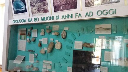 Il Museo Naturalistico “Paolo Barrasso” di Caramanico Terme rappresenta un punto di riferimento fondamentale per la conoscenza e la valorizzazione dell’ambiente appenninico abruzzese, inserendosi nel contesto di uno dei territori più ricchi di biodiversità d’Italia, all’interno del Parco Nazionale della Maiella. Il museo svolge una funzione essenziale di divulgazione scientifica e di educazione ambientale, accompagnando il visitatore alla scoperta degli ecosistemi montani, delle specie animali e vegetali tipiche della Maiella e delle peculiarità geologiche che caratterizzano questo straordinario massiccio. Attraverso un percorso espositivo chiaro e coinvolgente, fatto di pannelli didattici, reperti naturalistici e ricostruzioni ambientali, il museo racconta il delicato equilibrio tra uomo e natura e l’importanza della tutela del patrimonio naturale. Intitolato a Paolo Barrasso, figura di riferimento per la protezione della fauna selvatica abruzzese, il museo è anche centro visita del parco e punto informativo per escursioni e attività all’aria aperta, contribuendo a rendere Caramanico Terme una meta ideale per chi desidera vivere l’Abruzzo più autentico, tra cultura, natura e sostenibilità.