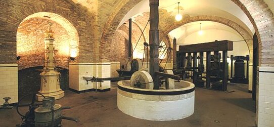 Nel cuore delle colline pescaresi, Loreto Aprutino custodisce una tradizione millenaria legata alla coltivazione dell’ulivo e alla produzione dell’olio extravergine d’oliva. Questo borgo, tra i più affascinanti dell’Abruzzo, è testimone di una storia che affonda le sue radici nell’epoca romana, come dimostrano i reperti conservati nell’Antiquarium Comunale “Antonio Casamarte”. Tra questi, spiccano i resti di un antico frantoio romano, il torcularium, che attestano la continuità di una vocazione agricola mai interrotta. Nel corso dei secoli, la produzione dell’olio ha rappresentato un pilastro dell’economia locale, regolata da statuti medievali che ne incentivavano la commercializzazione, e ha profondamente segnato l’identità culturale di Loreto Aprutino, tanto da essere celebrata nell’emblema della città, raffigurante due colombe con un ramoscello d’ulivo nel becco. Per preservare e valorizzare questa eredità, è stato istituito il Museo dell’Olio, ospitato nell’ex frantoio Baldini-Palladini, un edificio storico restaurato con grande attenzione per mantenere intatta la sua autenticità. Il museo racconta l’evoluzione della produzione olearia attraverso un percorso espositivo che segue il ciclo di lavorazione dell’olio, dalla raccolta delle olive alla loro spremitura. Il fulcro dell’esposizione è la grande macina in pietra ottocentesca, perfettamente conservata e riposizionata al centro della sala principale, accanto al monumentale torchio in legno, che testimonia le tecniche tradizionali di estrazione. Grazie a un’attenta ricostruzione, il visitatore può comprendere il funzionamento degli antichi frantoi e il ruolo fondamentale che essi hanno avuto nello sviluppo economico e sociale del borgo. Salendo al piano superiore, si entra in un ambiente che ospita una ricca collezione di oggetti legati alla conservazione e alla commercializzazione dell’olio. Qui sono esposti orci, bottiglie, latte e friscoli, suddivisi per materiali e funzione, oltre a preziosi manifesti pubblicitari che documentano la promozione dell’olio di Loreto Aprutino nelle grandi esposizioni internazionali. Particolarmente suggestivi sono i materiali realizzati per la Fiera di Parigi da Francesco Paolo Michetti, celebre artista e amico della famiglia Baldini-Palladini, che contribuì con il suo talento a diffondere l’immagine di questo prodotto d’eccellenza. Scendendo al piano inferiore, si accede alla zona produttiva, il cosiddetto “inferno”, dove si possono osservare due impianti di epoche diverse: il frantoio ottocentesco a trazione animale, con una mola olearia ricostruita utilizzando gli elementi originali in pietra, e un più moderno impianto idraulico del primo Novecento, realizzato nelle fonderie Mari di Lanciano. Il percorso si conclude in una sala accogliente, ricavata nell’antica stalla del palazzo, destinata alla degustazione dell’olio e alla vendita di prodotti tipici locali. Questo spazio, concepito come punto di incontro tra tradizione e innovazione, permette ai visitatori di approfondire la conoscenza dell’olio extravergine d’oliva attraverso esperienze sensoriali guidate. L’allestimento del museo, curato nei minimi dettagli, esalta l’architettura originaria dell’edificio grazie a vetrine trasparenti e un’illuminazione studiata per valorizzare le antiche volte in pietra. Il Museo dell’Olio di Loreto Aprutino non è solo un luogo di esposizione, ma un viaggio nella cultura e nell’identità di una terra che, attraverso l’olio, racconta se stessa e la propria storia con passione e autenticità.