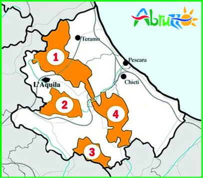 Abruzzo, regione verde d’Europae i suoi parchi. L’Abruzzo è spesso definito la "regione verde d’Europa" per la sua straordinaria ricchezza naturale e paesaggistica. Circa il 30% del suo territorio è protetto da parchi naturali e riserve, che ne fanno una delle regioni più verdi e incontaminate d’Italia. Le montagne dell’Appennino, che attraversano l’intero territorio, ospitano alcuni dei paesaggi più spettacolari del paese, con vette che sfiorano i 2.900 metri, come il Gran Sasso. Le vallate e le riserve naturali, come il Parco Nazionale della Majella e il Parco Nazionale d’Abruzzo, Lazio e Molise, offrono una biodiversità unica, che comprende specie rare di flora e fauna, come l’orso bruno marsicano, il lupo appenninico e l’aquila reale. La regione è caratterizzata anche da un ampio patrimonio ambientale che si estende dalle montagne alle colline, fino alla costa adriatica. Le aree naturali dell’Abruzzo, come le foreste, i boschi e i fiumi, creano un ambiente perfetto per attività all’aperto come il trekking, l’arrampicata, il ciclismo e lo sci. Le spiagge della costa adriatica, dalle sabbie dorate alle scogliere più rocciose, completano il quadro di una regione che offre un connubio perfetto tra mare e montagna. Questo ambiente variegato non solo attira turisti da tutto il mondo, ma è anche una risorsa vitale per le comunità locali, che coltivano e sfruttano la terra con un forte legame alla tradizione agricola e alla sostenibilità. L’Abruzzo è anche un punto di riferimento per le politiche ecologiche e di conservazione, impegnato nella tutela e nella valorizzazione del suo patrimonio naturale. La creazione di parchi, riserve e aree protette ha permesso di salvaguardare habitat unici e di promuovere un turismo sostenibile, che rispetta l’ambiente e le tradizioni locali. La regione si distingue per il suo impegno nella protezione della biodiversità e nella promozione di un modello di sviluppo che coniuga crescita economica e rispetto per la natura, confermando la sua vocazione di "polmone verde" d'Europa.
