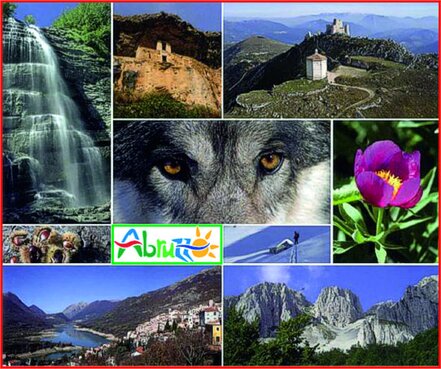 In Abruzzo, la biodiversità rappresenta una delle principali ricchezze del territorio, favorita dalla presenza di un’ampia varietà di ambienti naturali, che spaziano dalle zone costiere alle montagne dell’Appennino. I tre parchi nazionali presenti nella regione — il Parco Nazionale d’Abruzzo, Lazio e Molise, il Parco Nazionale della Majella e il Parco Nazionale del Gran Sasso e Monti della Laga — svolgono un ruolo fondamentale nella conservazione di questo patrimonio biologico, proteggendo ecosistemi unici e contribuendo alla sopravvivenza di numerose specie animali e vegetali. Questi territori protetti ospitano animali rari e spesso minacciati, come l’orso bruno marsicano, il lupo appenninico, il camoscio d’Abruzzo e l’aquila reale, oltre a una straordinaria varietà di piante, fiori e funghi, alcuni dei quali endemici. I parchi non solo garantiscono la tutela dell’ambiente, ma sono anche laboratori viventi per la ricerca scientifica, l’educazione ambientale e il monitoraggio degli effetti dei cambiamenti climatici sugli habitat naturali. La biodiversità custodita nei parchi nazionali abruzzesi ha inoltre un impatto diretto sulla qualità della vita delle comunità locali e sullo sviluppo sostenibile del territorio. La presenza di ecosistemi sani favorisce attività come l’agricoltura biologica, l’apicoltura, il turismo naturalistico e l’escursionismo, contribuendo a mantenere vive le tradizioni e a valorizzare le risorse locali. In questo modo, la biodiversità diventa un bene comune da conoscere, proteggere e tramandare alle generazioni future.