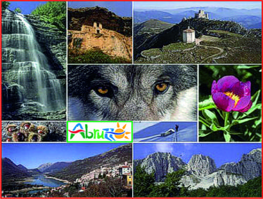L’importanza della biodiversità nei parchi e nelle riserve naturali in Abruzzo. La biodiversità rappresenta una delle ricchezze più preziose dell’Abruzzo, che grazie ai suoi parchi nazionali, al parco regionale e alle numerose riserve naturali conserva ambienti unici e specie rare. Dai boschi di faggio alle praterie d’alta quota, fino alle gole e agli altopiani, ogni ecosistema ospita una varietà straordinaria di piante e animali, molti dei quali protetti e difficili da osservare altrove. L’orso bruno marsicano, il camoscio appenninico e l’aquila reale sono solo alcuni degli esempi di un patrimonio naturale che trova in queste aree protette un rifugio sicuro e indispensabile. La tutela della biodiversità non è importante solo per la conservazione delle specie, ma anche per l’equilibrio ecologico e per la qualità della vita delle comunità locali. I parchi e le riserve dell’Abruzzo svolgono un ruolo fondamentale nel mantenimento delle risorse naturali, nella difesa del suolo e nella regolazione del clima, oltre a offrire opportunità di ricerca scientifica e di turismo sostenibile. Preservare questa ricchezza significa garantire alle future generazioni la possibilità di vivere e conoscere la straordinaria varietà di paesaggi e forme di vita che rendono l’Abruzzo una terra unica nel cuore dell’Italia.