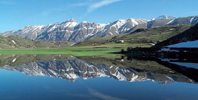 Parchi Naturali, boschi e Trekking: Il Parco Nazionale del Gran Sasso e dei Monti della Laga. Il Parco Nazionale del Gran Sasso e dei Monti della Laga è una delle aree naturali più affascinanti e imponenti d'Abruzzo. Il massiccio roccioso del Gran Sasso, con le sue pareti calcaree, è una meta ambita per escursionisti e alpinisti, che ogni anno affrontano le sfide offerte dai suoi sentieri e dalle vette come il Corno Grande e il Corno Piccolo. L'altopiano di Campo Imperatore, noto per i suoi panorami mozzafiato e la sua atmosfera selvaggia, è un luogo di grande bellezza, soprattutto in primavera, quando la natura esplode in una sinfonia di fiori e colori. Sul versante settentrionale, le faggete secolari offrono un paesaggio che incanta chiunque vi si immerga. Meno conosciuti, ma altrettanto spettacolari, sono i Monti della Laga, un gruppo montuoso che offre paesaggi unici e una natura intatta. Grazie all'abbondanza di corsi d'acqua che attraversano la zona, in primavera i monti si arricchiscono di cascate e torrenti che rendono il paesaggio particolarmente suggestivo. La presenza di numerosi sentieri e percorsi rende questa area ideale per chi cerca una natura incontaminata e per chi desidera scoprire la bellezza di un ambiente montano meno frequentato, ma altrettanto affascinante. Istituito nel 1995, il Parco Nazionale del Gran Sasso e dei Monti della Laga ha visto una significativa ripresa della fauna locale. Animali come il lupo appenninico, il camoscio, il capriolo e l'aquila reale sono tornati a popolare questi territori grazie alle politiche di tutela e conservazione. La fauna che popola il parco è testimone di un ecosistema sano e prospero, dove la natura, protetta da quasi un secolo di politiche ambientali, continua a fiorire e a sostenere una grande varietà di specie. Oltre alla sua ricchezza naturale, il parco è anche custode delle tradizioni abruzzesi, visibili nei numerosi borghi che costellano il territorio. Escursioni a piedi, a cavallo o in mountain bike offrono ai visitatori l'opportunità di esplorare non solo i paesaggi, ma anche la cultura di questa terra. I sentieri che collegano i villaggi, le antiche chiese e le costruzioni storiche arricchiscono l'esperienza, rendendo il Parco Nazionale del Gran Sasso e dei Monti della Laga una meta ideale per chi cerca avventura, ma anche per chi desidera immergersi nella storia e nelle tradizioni della regione.