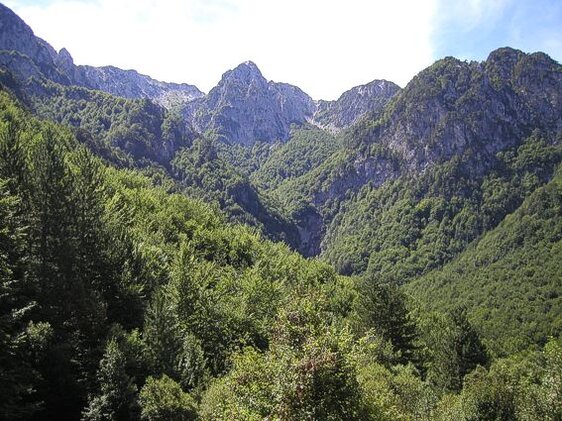 Il Parco Nazionale d'Abruzzo, Lazio e Molise è uno dei luoghi più iconici della regione, un angolo di natura protetta che si estende a nord-est della Valle Roveto. Fondato negli anni '20, il Parco ha da subito attratto visitatori italiani e internazionali, desiderosi di immergersi nella bellezza delle montagne appenniniche. Pescasseroli, il centro principale del Parco, offre una ricettività turistica eccellente ed è circondato da vette che superano i 2000 metri, prati verdi, valli incantevoli e borghi caratteristici come Bisegna, Opi, Villetta Barrea e Barrea, con il suo splendido lago. Questi paesi, insieme a Civitella Alfedena, Alfedena e Scontrone, rendono il Parco una meta ideale per chi cerca pace, natura e storia. Essendo un'area protetta da quasi un secolo, il Parco offre una rete ben organizzata di strutture ricettive e sentieri escursionistici. Con oltre 150 itinerari escursionistici, il Parco è un vero paradiso per gli amanti del trekking, della mountain bike e delle passeggiate a cavallo. Le aree più note, come la Camosciara, la Val Fondillo e il lago Vivo, sono rinomate per la loro bellezza incontaminata. Il Parco è anche un luogo ideale per chi ama il birdwatching, grazie alla sua varietà di ambienti naturali che ospitano numerose specie di uccelli. L’offerta didattica è arricchita da musei, come il Museo e lo Zoo di Pescasseroli, e aree faunistiche dedicate alla protezione di animali come il camoscio, il lupo e la lince. Un'altra tappa imperdibile del Parco è il Passo Godi, da cui si può intraprendere una passeggiata sul pianoro o scendere verso Scanno, un borgo celebre per il suo lago e il centro storico che ha attratto fotografi come Henri Cartier-Bresson e Mario Giacomelli. Il lago di Scanno, che separa il Parco dal massiccio del Monte Genzana, è perfetto per attività acquatiche e per rilassanti passeggiate cicloturistiche. Il Monte Genzana, protetto da una riserva naturale, offre splendidi percorsi escursionistici che possono essere raggiunti dal borgo di Pettorano sul Gizio, ideale per una gita in natura. In queste zone, la gastronomia tipica, con piatti come la polenta e gli orapi, arricchisce l'esperienza di visita, facendo conoscere la cultura del luogo a 360 gradi. Il Parco Nazionale d'Abruzzo, Lazio e Molise offre infiniti spunti per esplorazioni naturalistiche e culturali. Scendendo lungo la valle del Sagittario, si arriva a Villalago, un pittoresco borgo che si specchia in un bacino artificiale e che ospita un antico eremo. Da qui, è possibile raggiungere Castrovalva, una frazione che ha ispirato il celebre incisore Escher con i suoi paesaggi impossibili. Proseguendo, si arriva ad Anversa degli Abruzzi, immortalata nella letteratura da Gabriele d'Annunzio, e a Cocullo, noto per la sua tradizionale processione di San Domenico, durante la quale i serpenti vengono portati in processione, attirando visitatori da tutto il mondo. Il Parco offre quindi una combinazione unica di bellezze naturali, storiche e culturali che rendono l'Abruzzo una meta imperdibile per gli amanti del trekking e della natura.