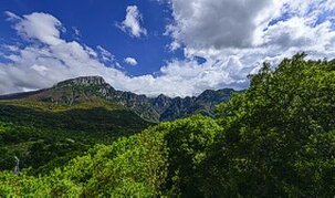 Il Parco Nazionale d’Abruzzo, Lazio e Molise rappresenta uno degli esempi più significativi della straordinaria varietà di ecosistemi presenti in Abruzzo, un territorio dove montagne imponenti, colline verdeggianti e vallate incontaminate si combinano creando un patrimonio naturale di eccezionale valore. Fondato all’inizio degli anni ’20, il parco tutela una vasta gamma di ambienti, dai boschi di faggio e quercia ai pascoli d’alta quota e alle zone umide, offrendo rifugio a specie iconiche come l’orso bruno marsicano, il lupo appenninico, il camoscio appenninico e numerosi rapaci che popolano le creste montuose e le valli profonde. Le colline e i piccoli altopiani che precedono i massicci montuosi garantiscono transizioni graduali tra gli ecosistemi, consentendo lo sviluppo di una flora ricca e diversificata, mentre la rete di fiumi e torrenti alimenta ambienti acquatici e umidi che completano il mosaico naturale del parco. Grazie a sentieri escursionistici, aree attrezzate e centri visita, il Parco Nazionale d’Abruzzo, Lazio e Molise permette ai visitatori di esplorare questi ambienti unici, immergendosi nella natura autentica della regione e comprendendo l’importanza della conservazione degli ecosistemi, testimoniando come la protezione della fauna, della flora e dei paesaggi montani sia fondamentale per preservare l’identità ecologica e culturale dell’Abruzzo.