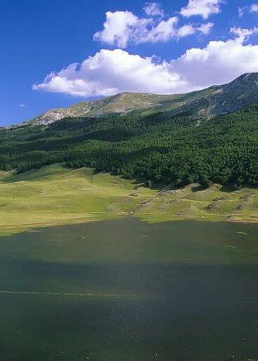 Trekking negli Altopiani e Pianori in Abruzzo: Piana del Fucino. La Piana del Fucino è una vasta conca situata tra le montagne abruzzesi, che si estende tra i territori delle province dell'Aquila e di Teramo. Un tempo il terzo lago più grande d'Italia, la piana ha subito una trasformazione radicale nel corso dei secoli, passando da una grande distesa d'acqua a un'area agricola fertile. L'intervento umano, che ha incluso imponenti opere di prosciugamento e bonifica, ha reso questa zona una delle più importanti per l'agricoltura regionale, tanto da diventare famosa per la produzione di ortaggi di alta qualità, come le patate e le carote del Fucino. La storia della Piana del Fucino è segnata da secoli di interventi per il controllo delle acque che la ricoprivano. Già nel I secolo d.C., l’imperatore Claudio diede avvio ai lavori per il prosciugamento del lago, utilizzando un grande numero di schiavi. Nonostante gli sforzi, la caduta dell'Impero Romano e le invasioni barbariche impedirono la manutenzione dei canali, riportando l'acqua a ricoprire la conca. Solo nel XIX secolo, sotto la direzione del duca Alessandro di Torlonia, venne realizzato un nuovo canale di scolo, che portò definitivamente alla bonifica dell'area e alla scomparsa del lago. Oggi la Piana del Fucino è un immenso campo agricolo, un paesaggio ordinato e pianeggiante che si presta perfettamente alla coltivazione. La bonifica ha trasformato la zona in un'area fertile dove vengono prodotti numerosi prodotti agricoli, tra cui le famose patate e carote IGP. La pianura è seguita con grande cura da agricoltori locali, che nel tempo hanno acquisito una profonda conoscenza della terra, riuscendo a sfruttare al meglio le sue potenzialità. La Piana del Fucino è, infatti, uno dei principali motori economici dell'Abruzzo, contribuendo in maniera significativa all'agricoltura regionale. Il paesaggio che circonda la Piana del Fucino è ricco di bellezze naturali, con le montagne che fanno da cornice e parchi naturali che proteggono l’ambiente circostante. L'area è delimitata dal Parco Naturale Sirente-Velino, dal Parco Nazionale d'Abruzzo, Lazio e Molise e dal Parco Regionale dei Monti Simbruini. Questi parchi offrono numerose opportunità per il trekking e l'escursionismo, con sentieri che permettono di esplorare la natura incontaminata che circonda la piana. I boschi, i fiumi e le montagne circostanti rendono questo luogo ideale per chi ama la tranquillità e la bellezza selvaggia. La Piana del Fucino, pur essendo un centro agricolo di grande importanza, conserva ancora il fascino di una terra che porta con sé una lunga storia di lotta contro le acque. Oggi è un simbolo di come l'ingegno umano abbia saputo adattarsi e trasformare un paesaggio naturale in un ambiente agricolo produttivo, senza dimenticare la sua origine. L'area non è solo un polo agricolo ma anche un'attrazione turistica per chi vuole immergersi nella storia, nelle tradizioni locali e nella natura intatta che la circonda.